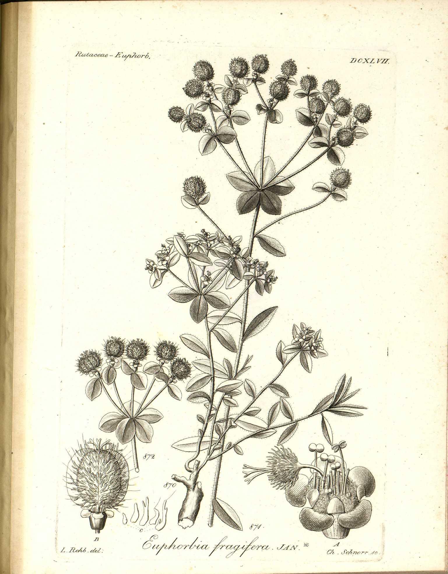 no full size  illustration available (3a)