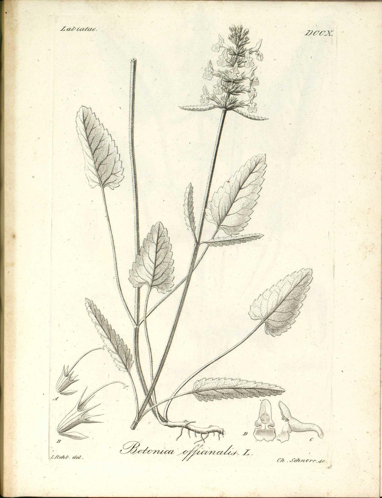 no full size  illustration available (3a)