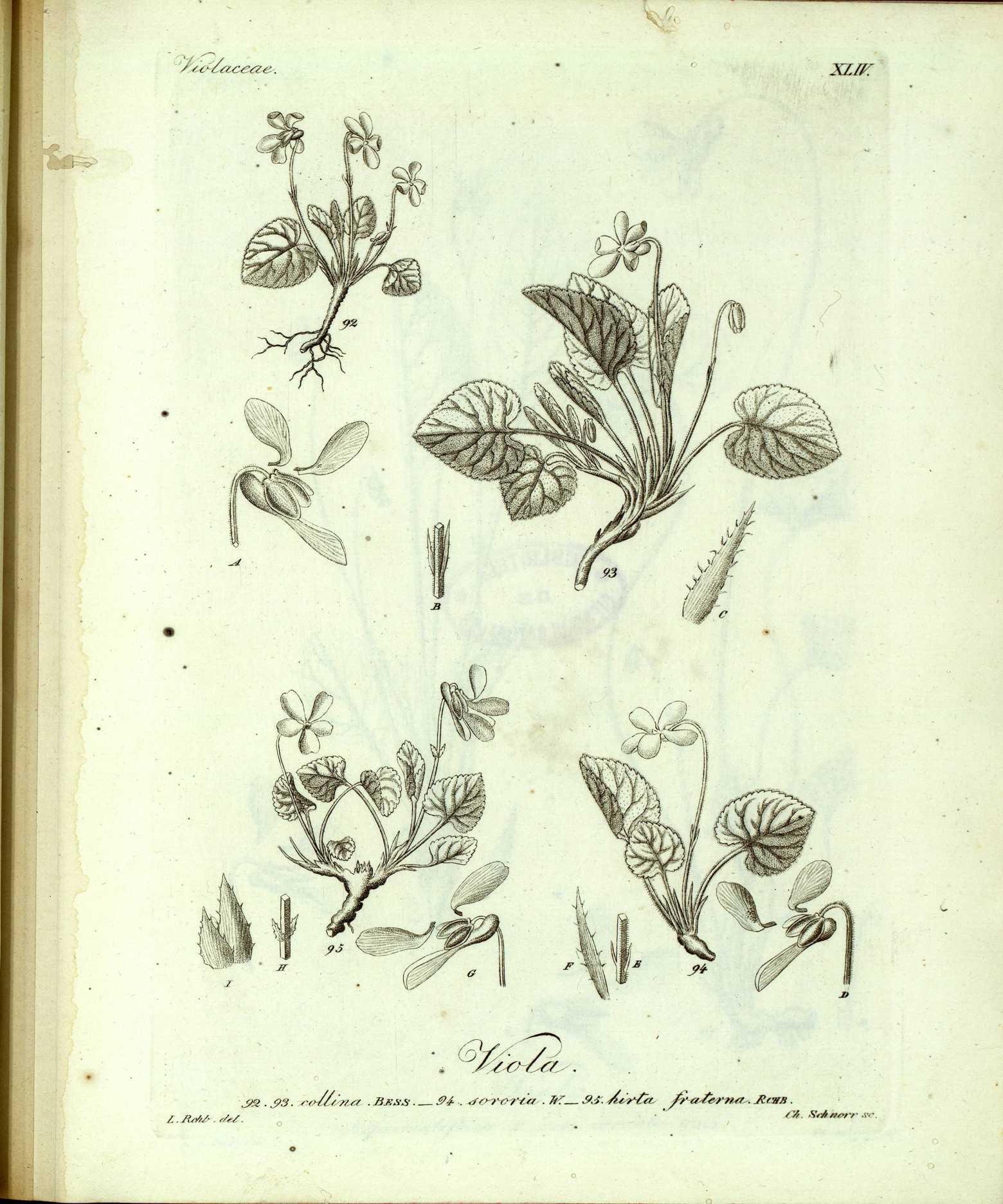 no full size  illustration available (3a)