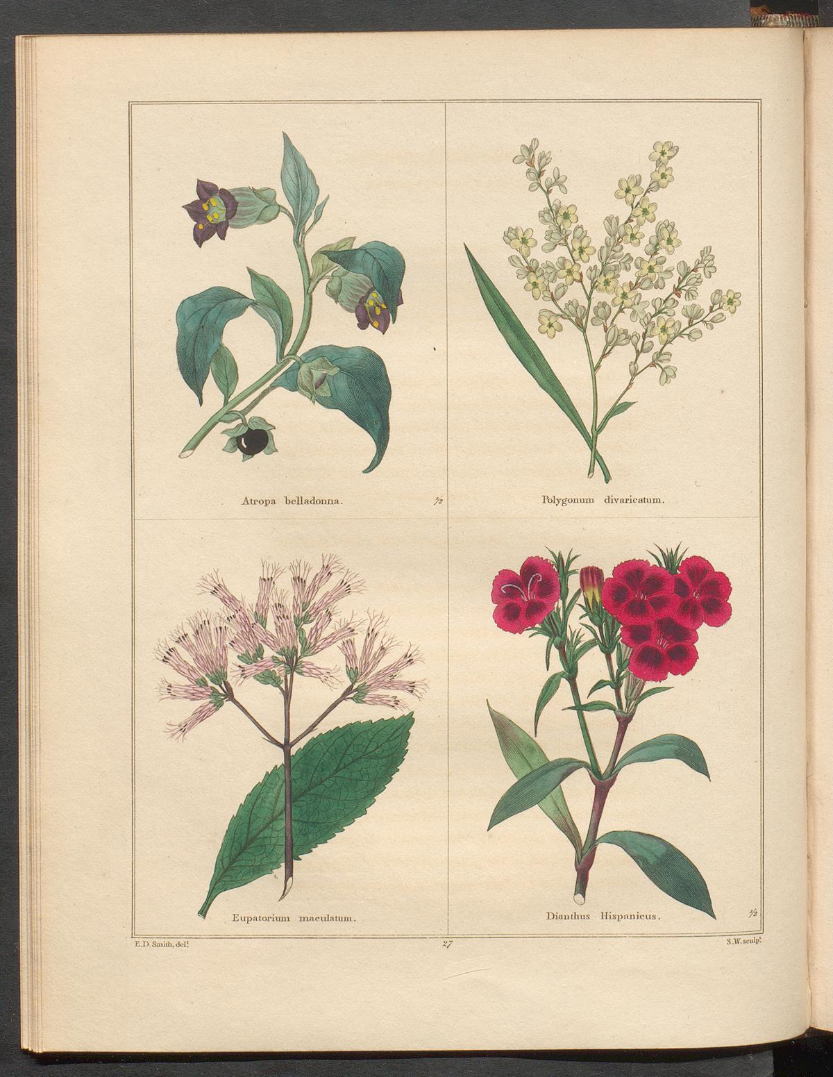 no full size  illustration available (3a)