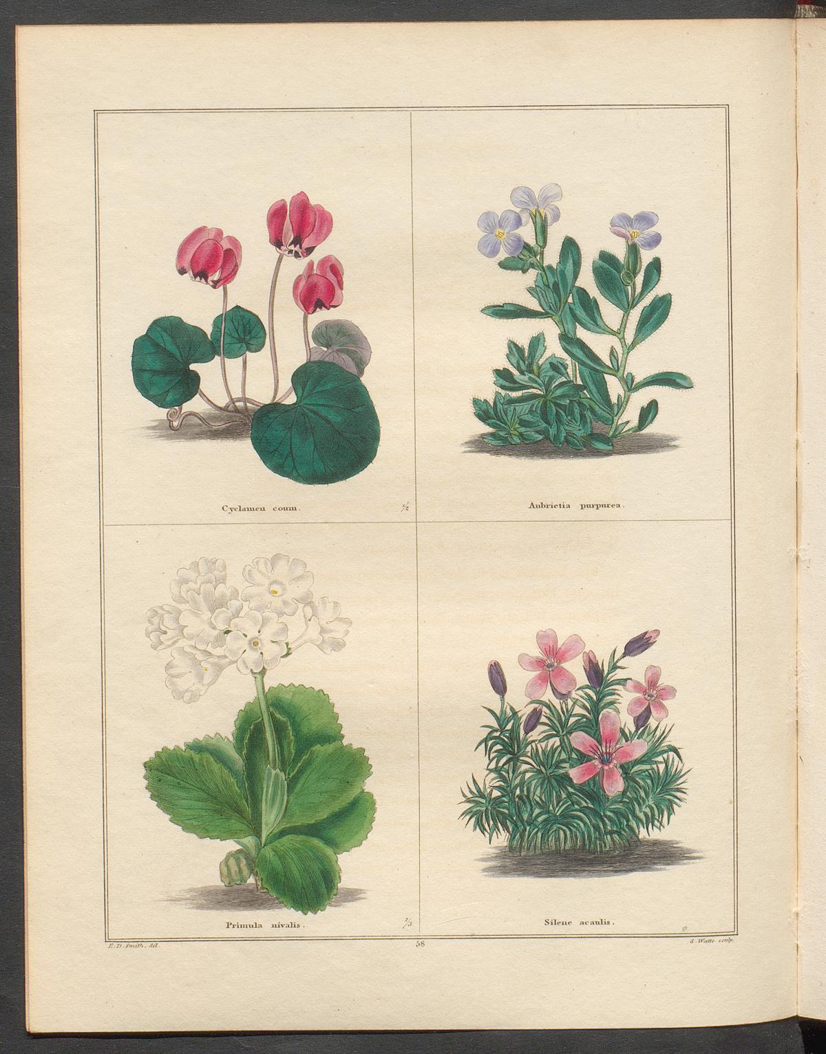 no full size  illustration available (3a)