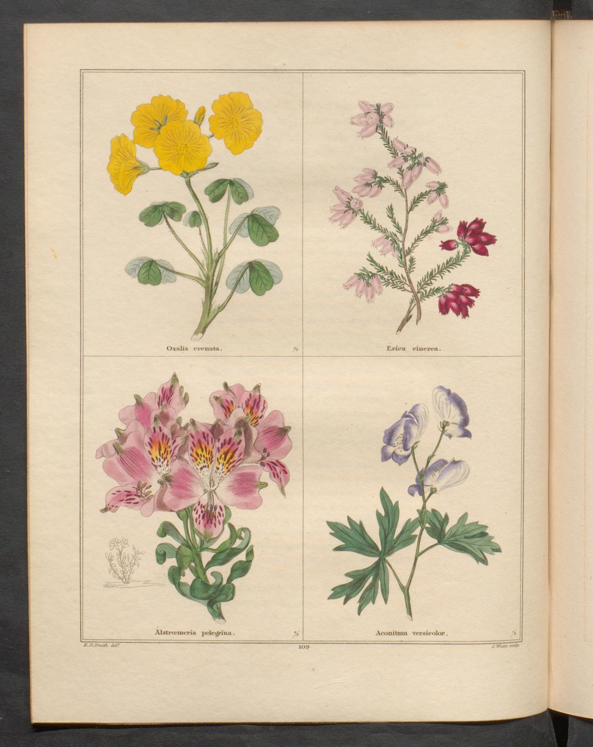 no full size  illustration available (3a)