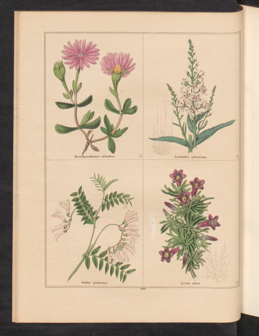 no full size  illustration available (3a)