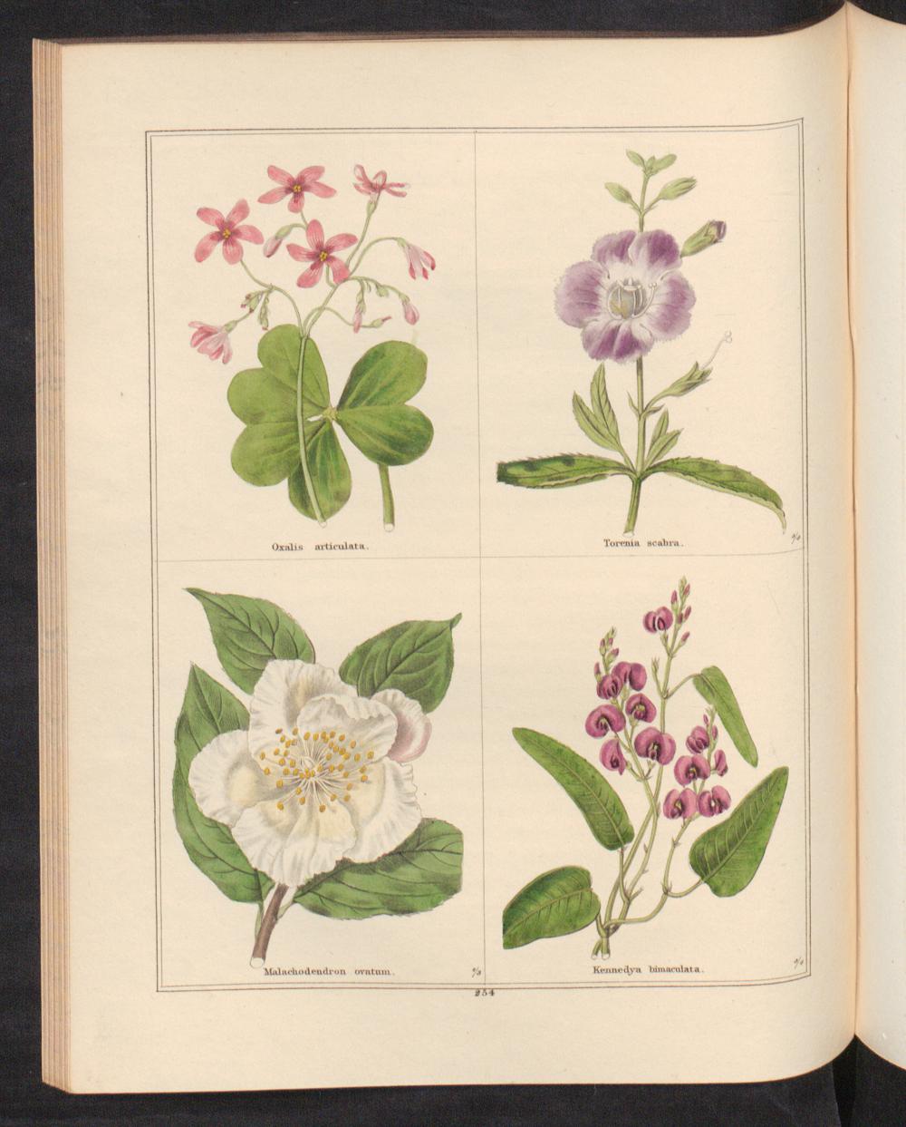 no full size  illustration available (3a)