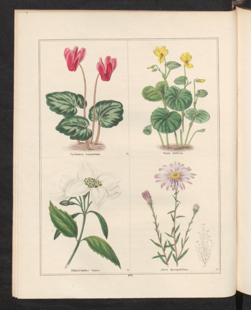 no full size  illustration available (3a)