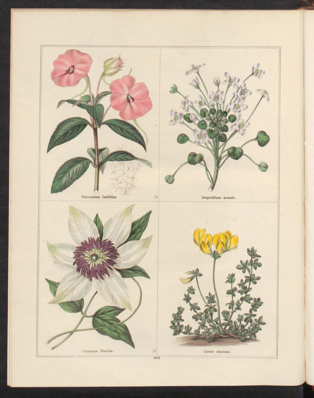 no full size  illustration available (3a)