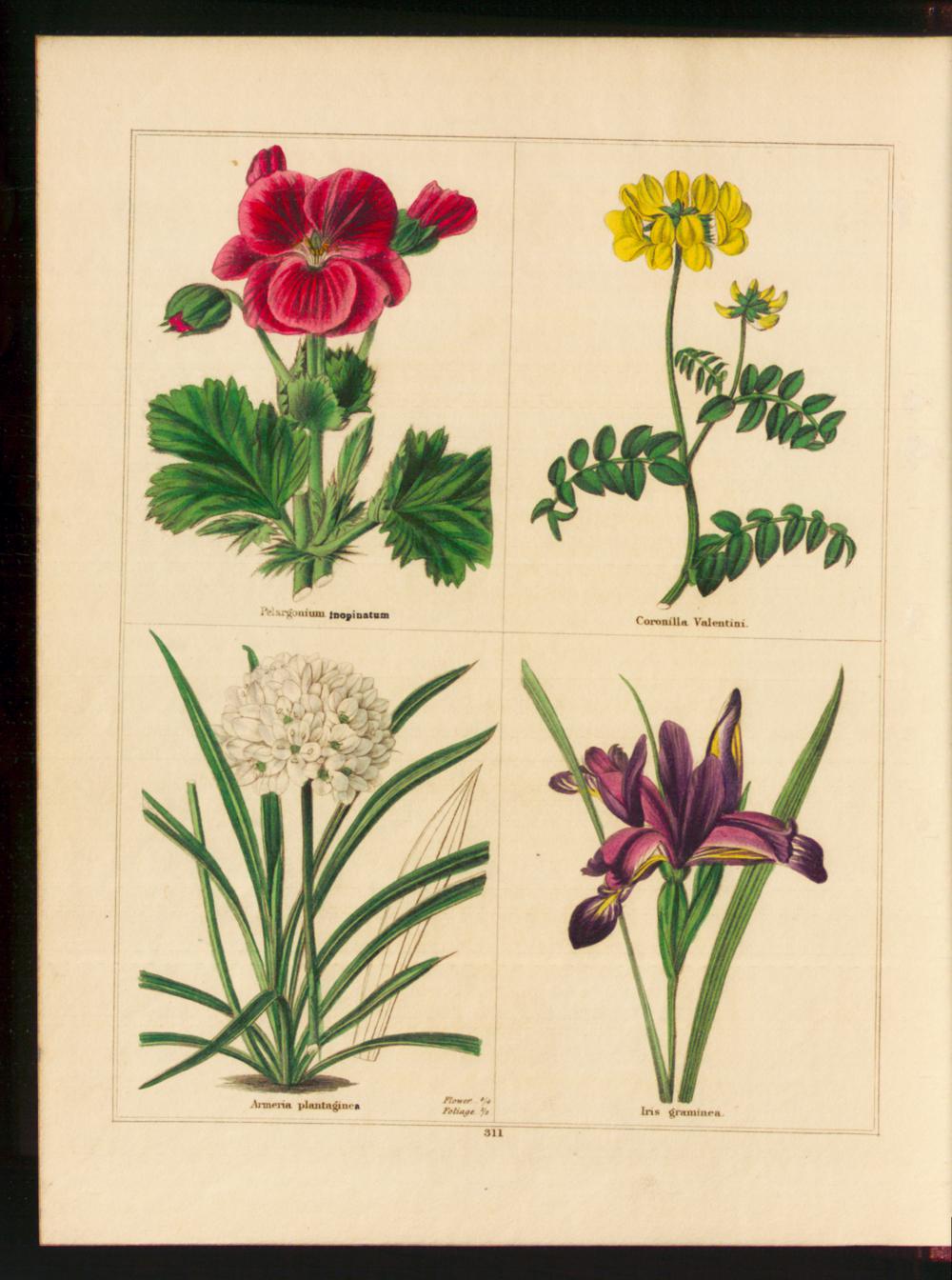 no full size  illustration available (3a)