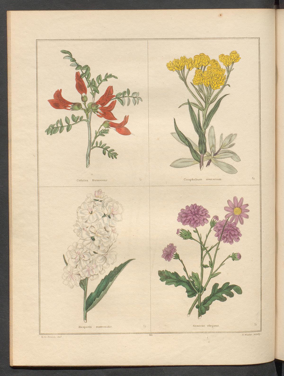 no full size  illustration available (3a)