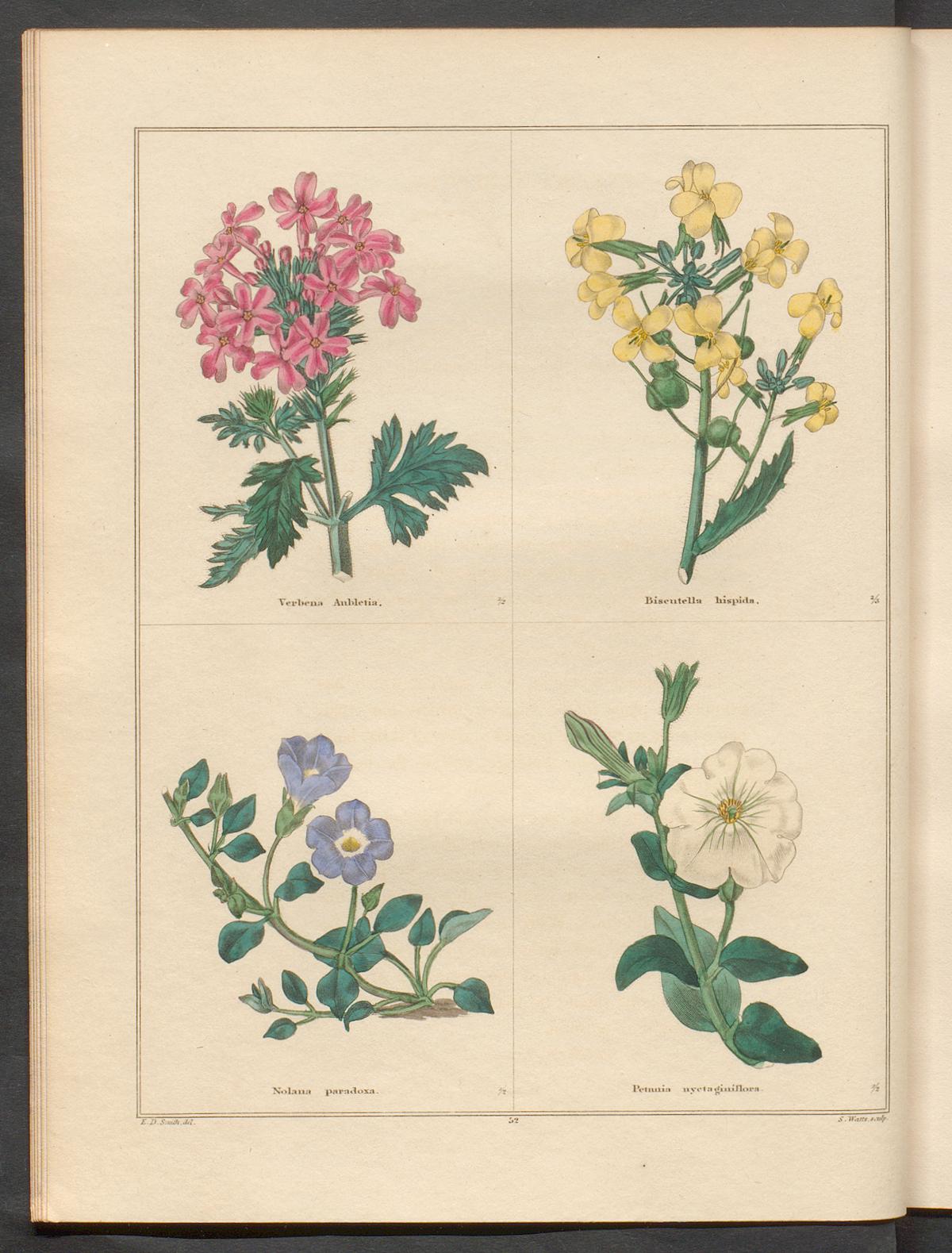 no full size  illustration available (3a)