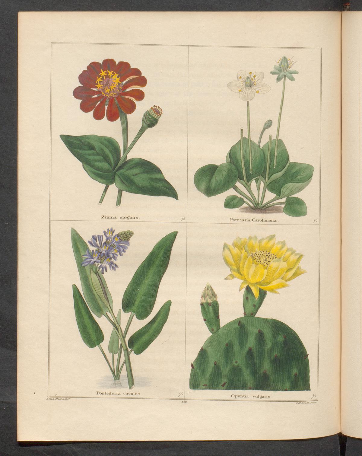 no full size  illustration available (3a)