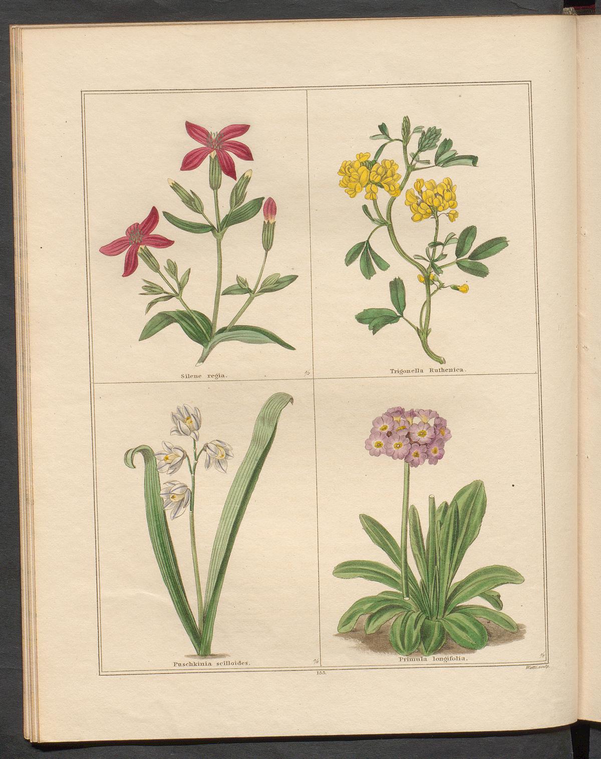 no full size  illustration available (3a)