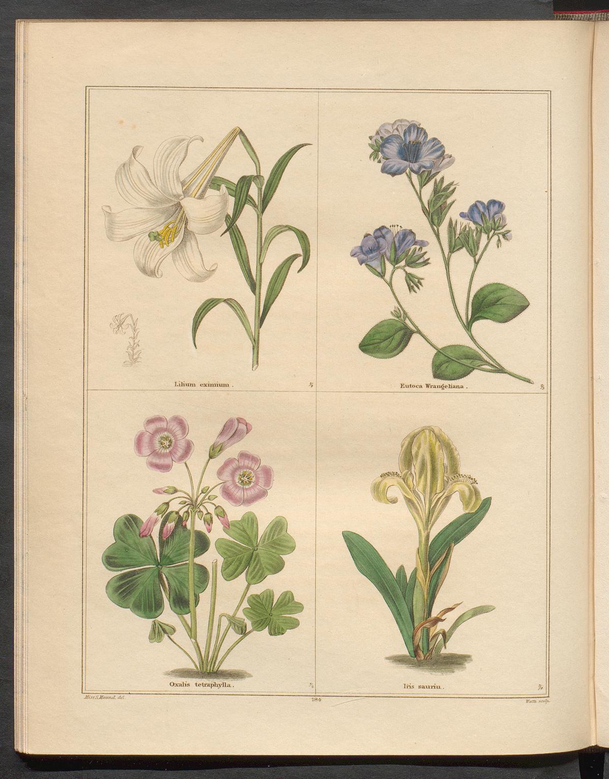 no full size  illustration available (3a)