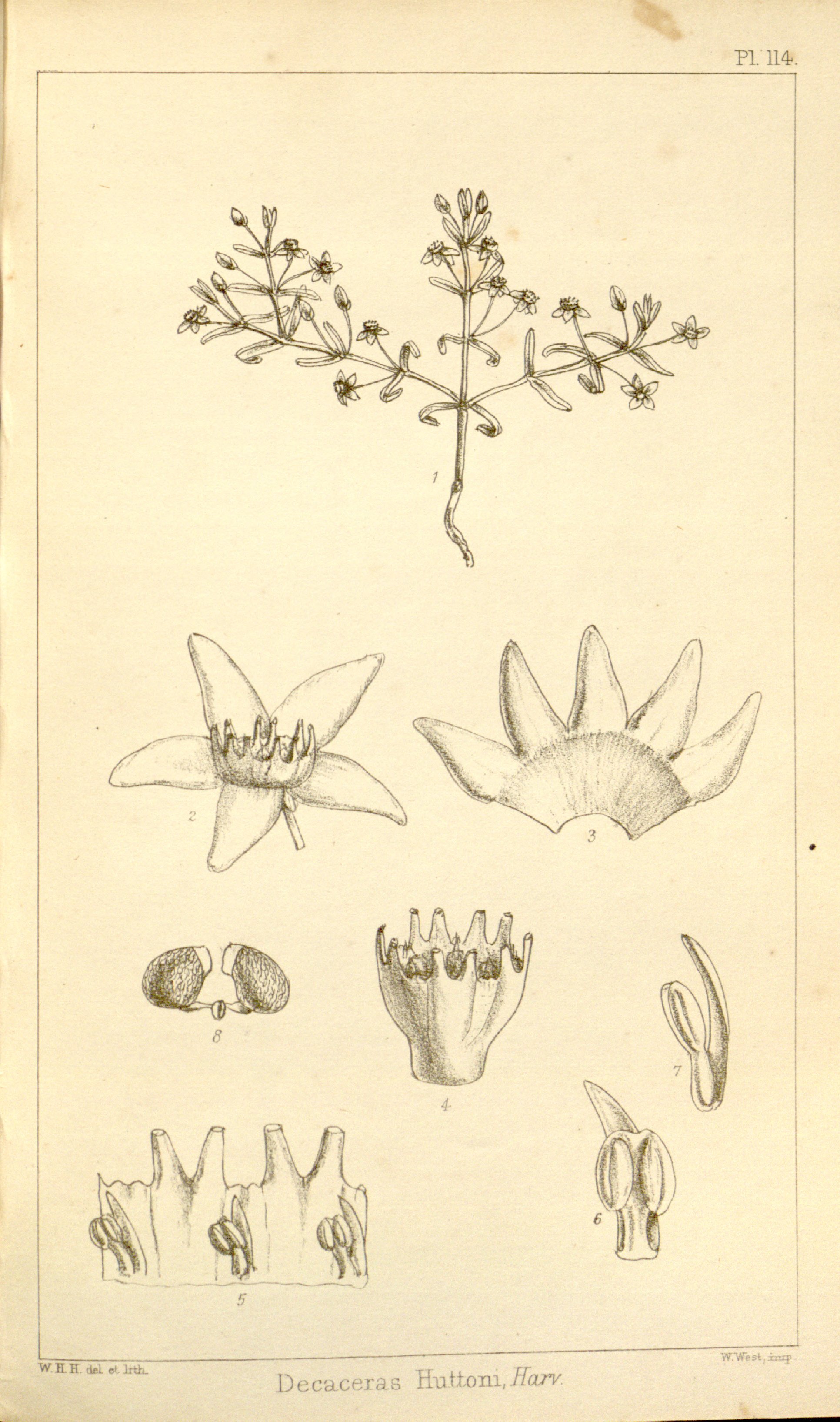 no full size  illustration available (3a)