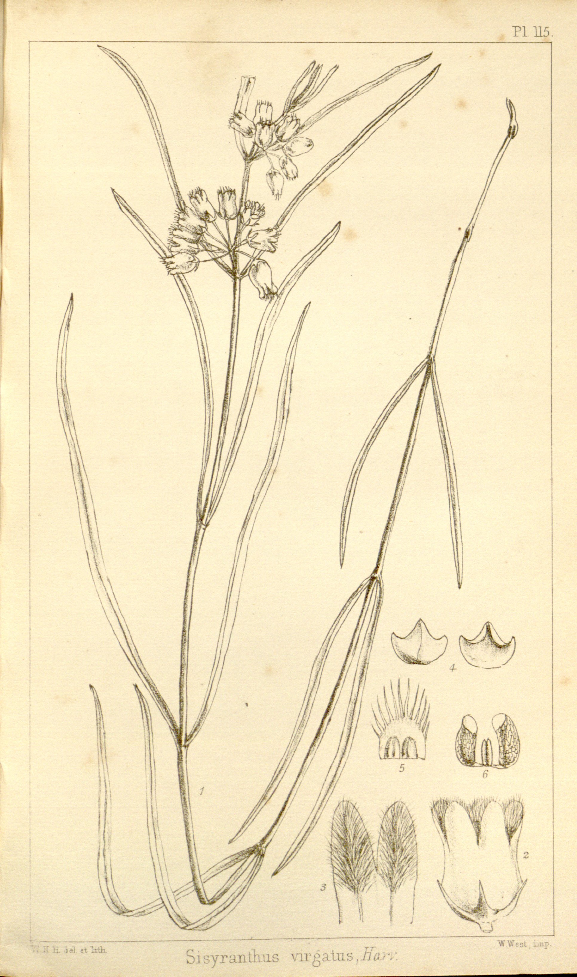 no full size  illustration available (3a)