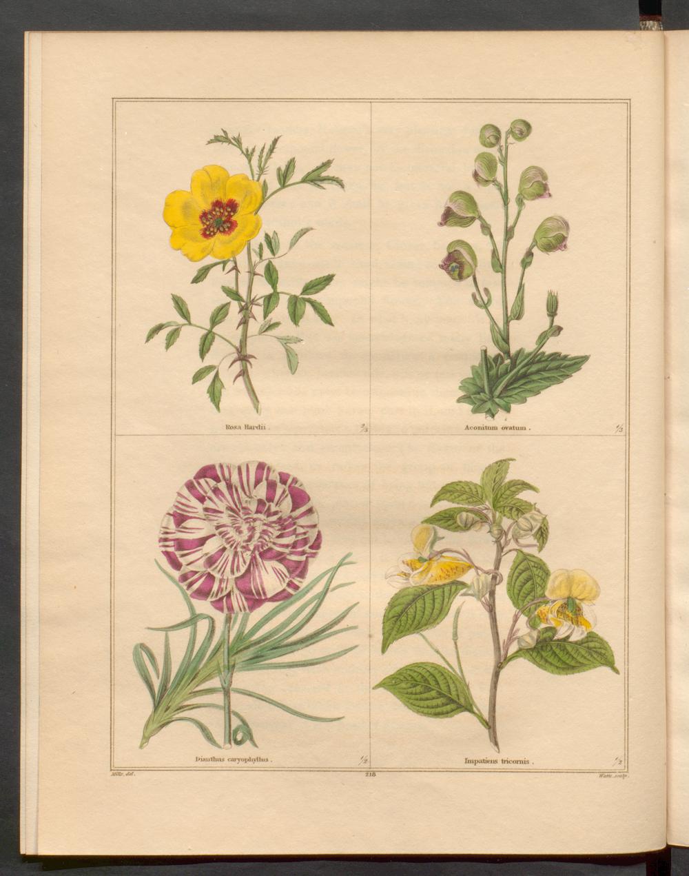 no full size  illustration available (3a)