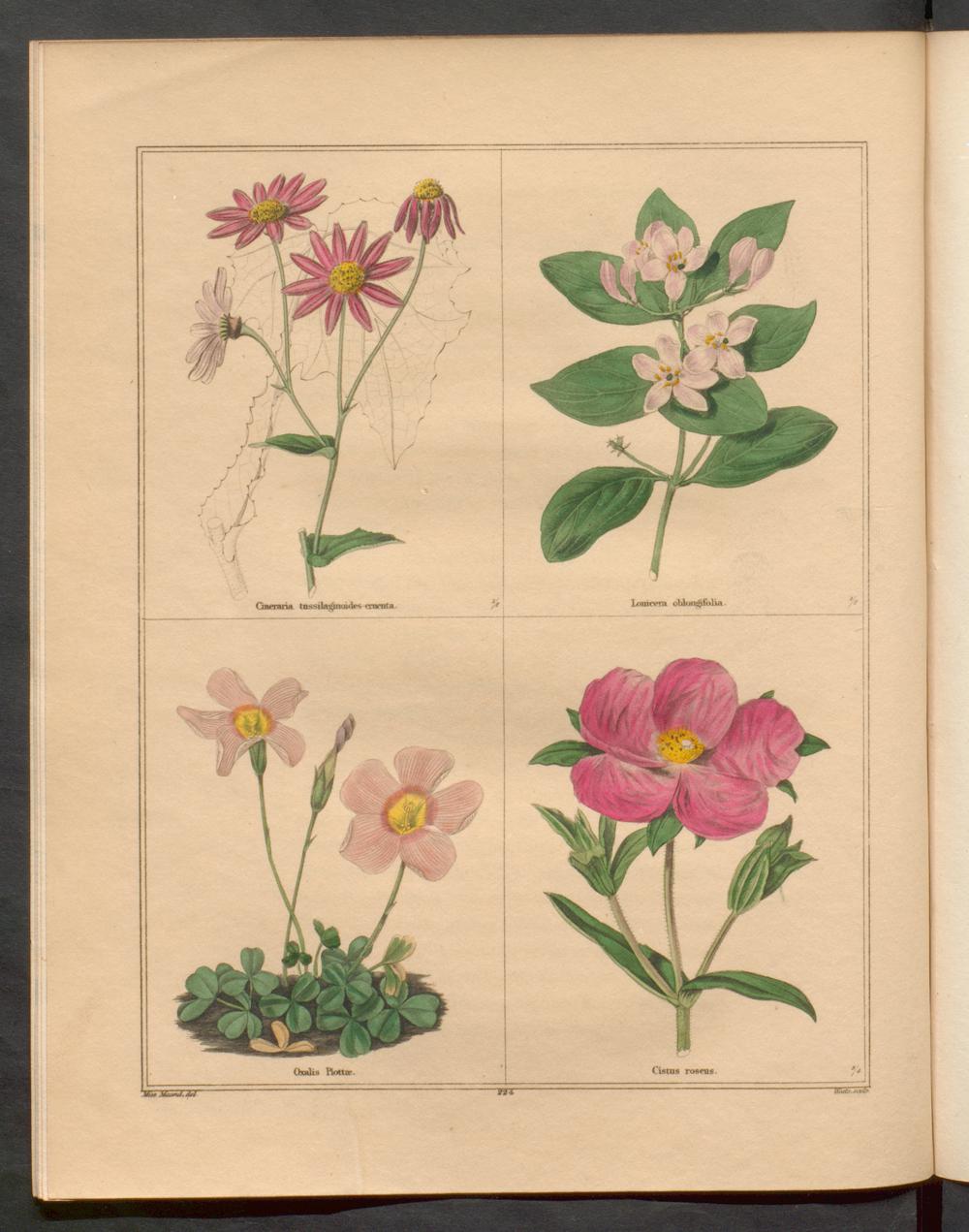 no full size  illustration available (3a)