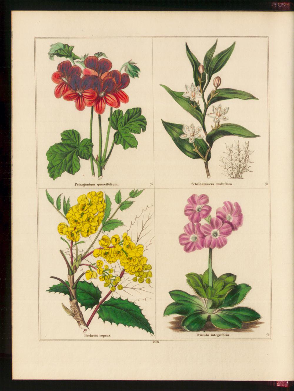 no full size  illustration available (3a)