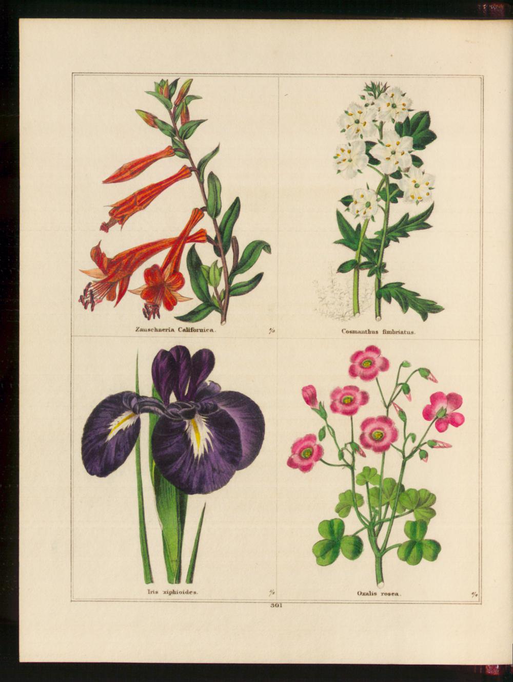 no full size  illustration available (3a)