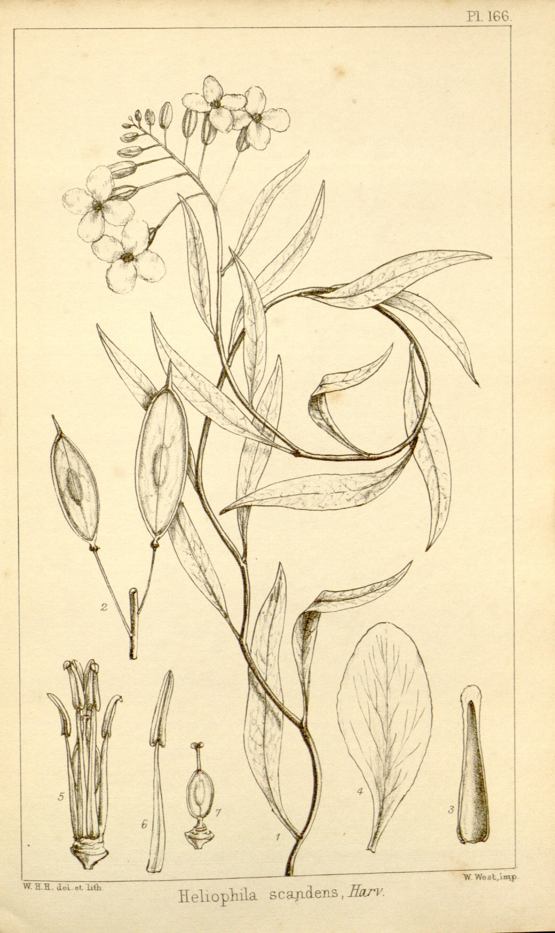 no full size  illustration available (3a)