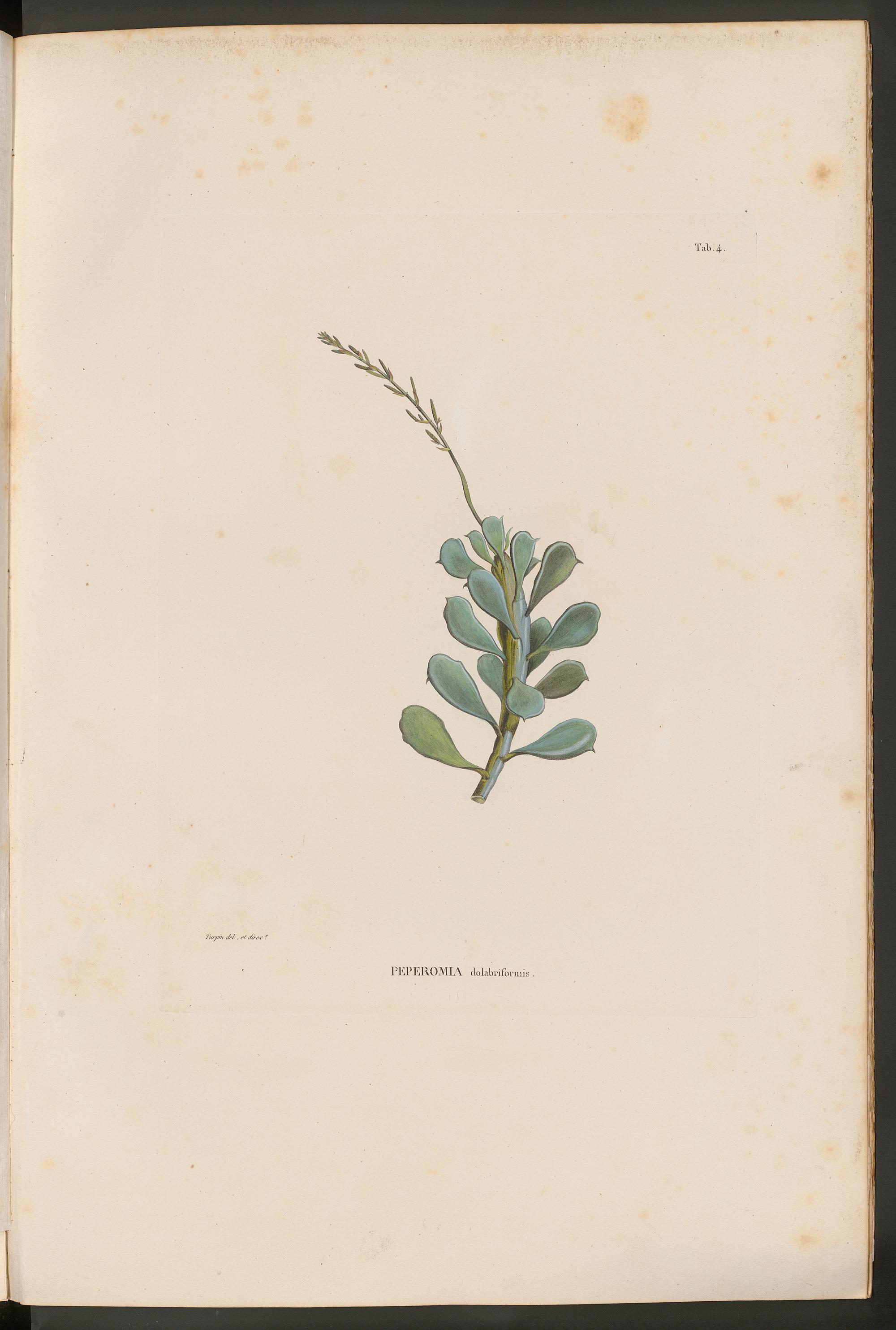 no full size  illustration available (3a)