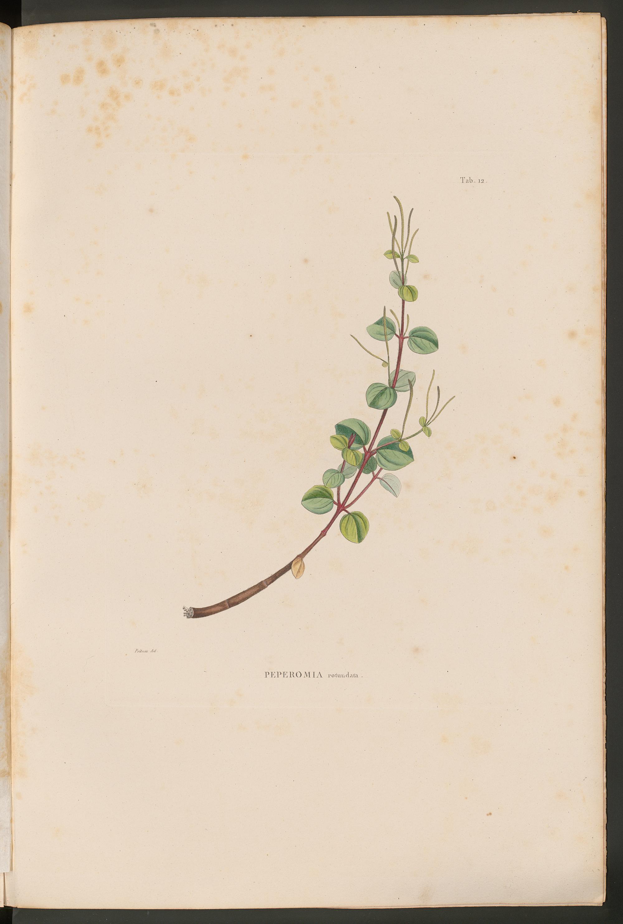 no full size  illustration available (3a)