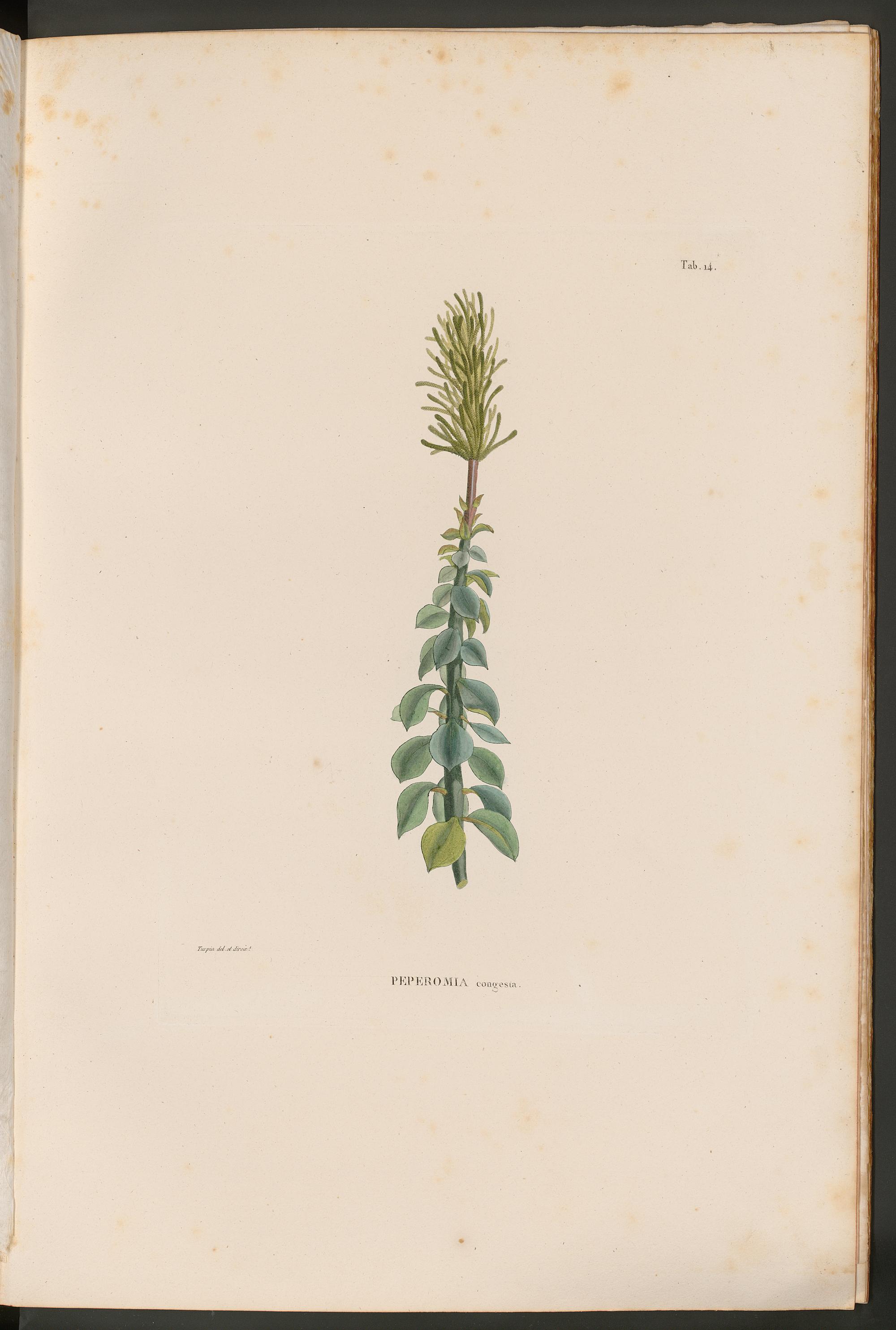 no full size  illustration available (3a)