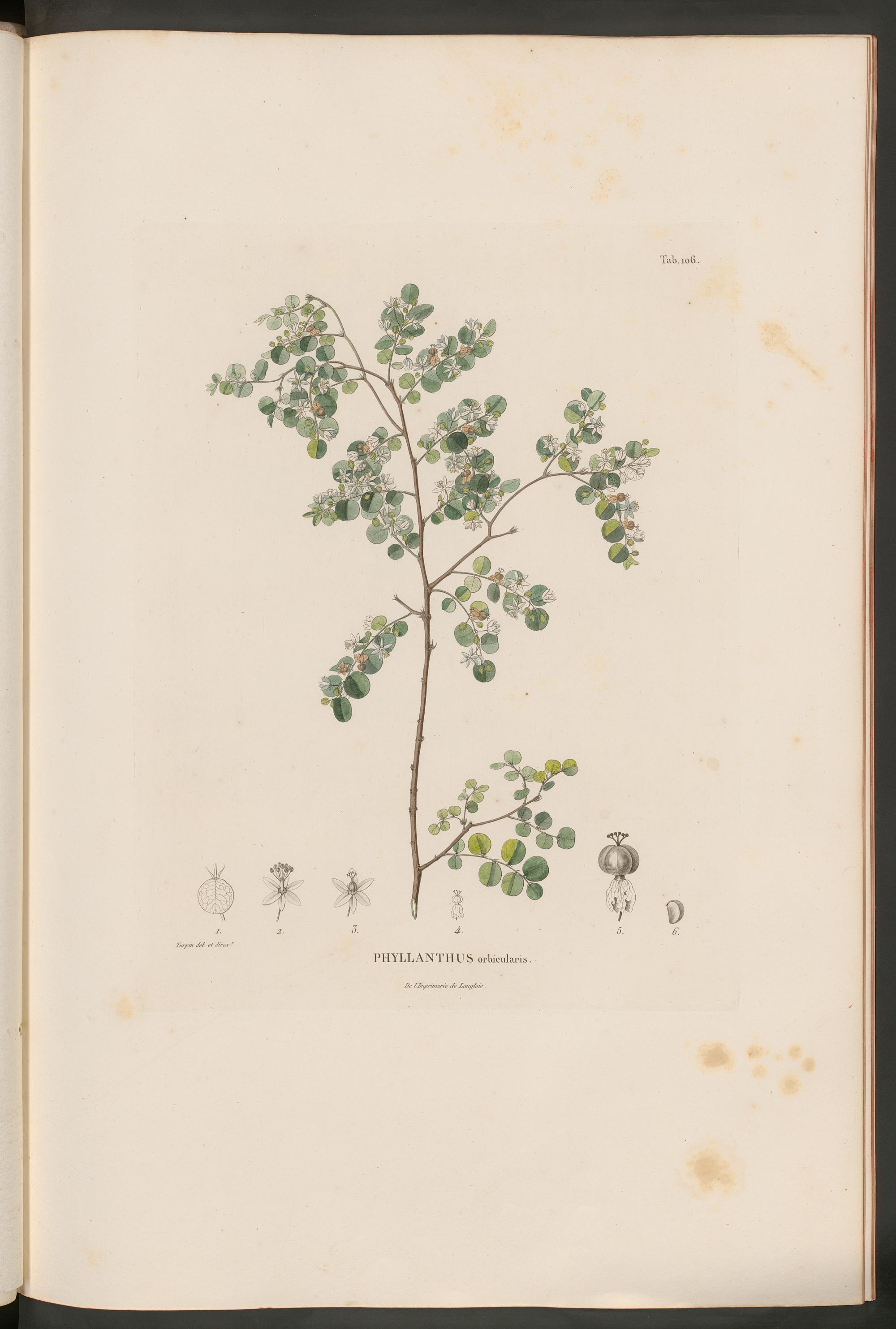 no full size  illustration available (3a)