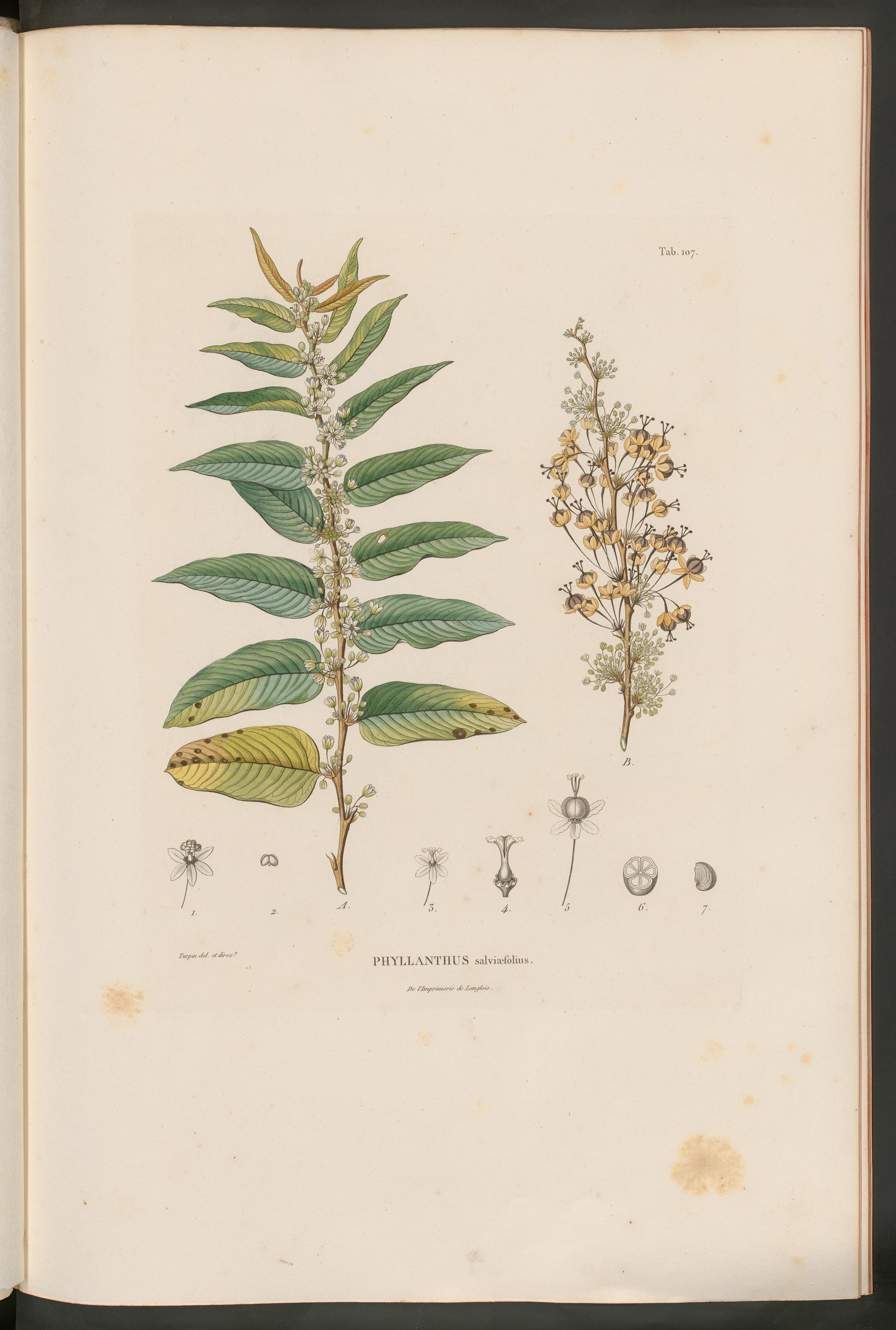 no full size  illustration available (3a)