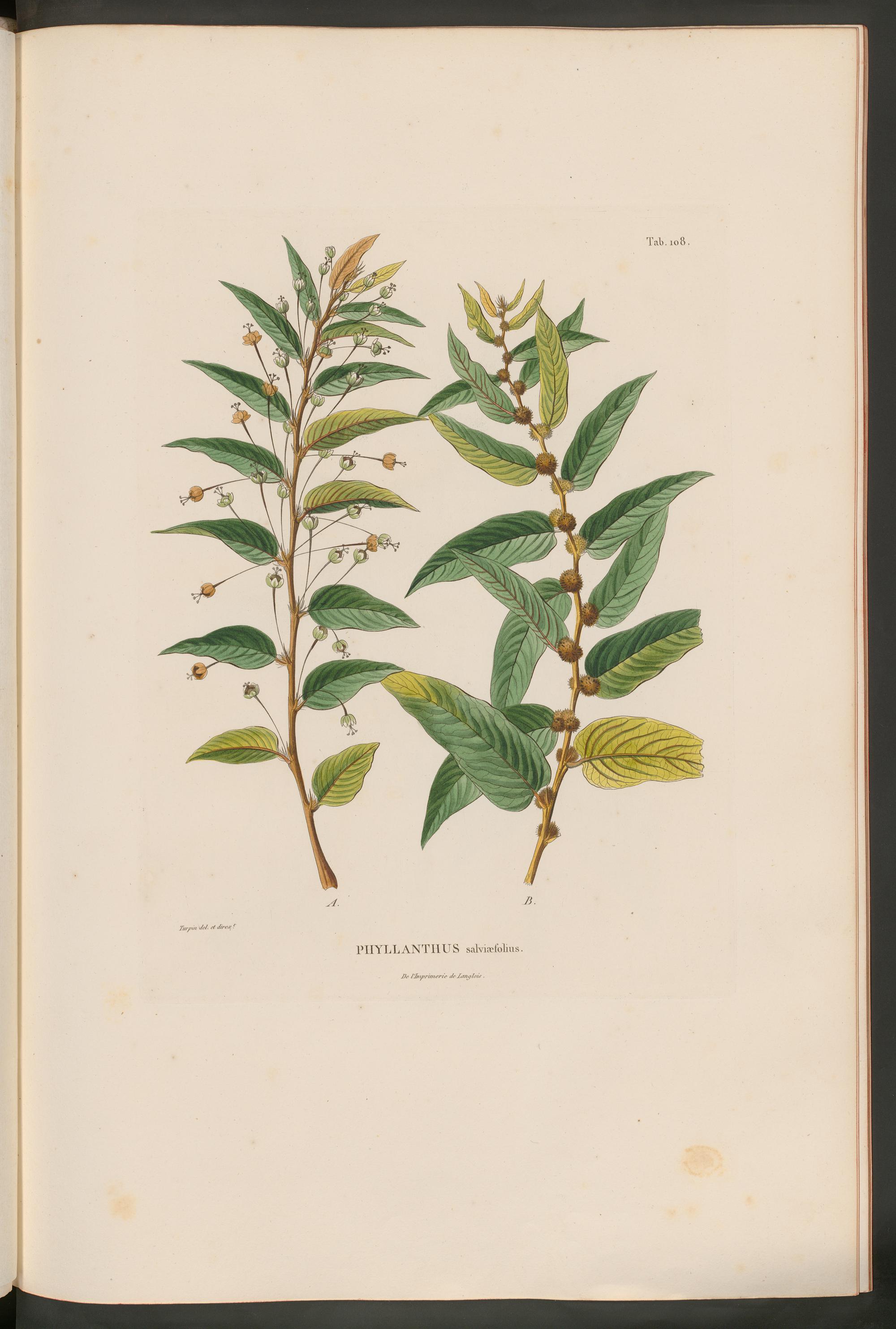 no full size  illustration available (3a)