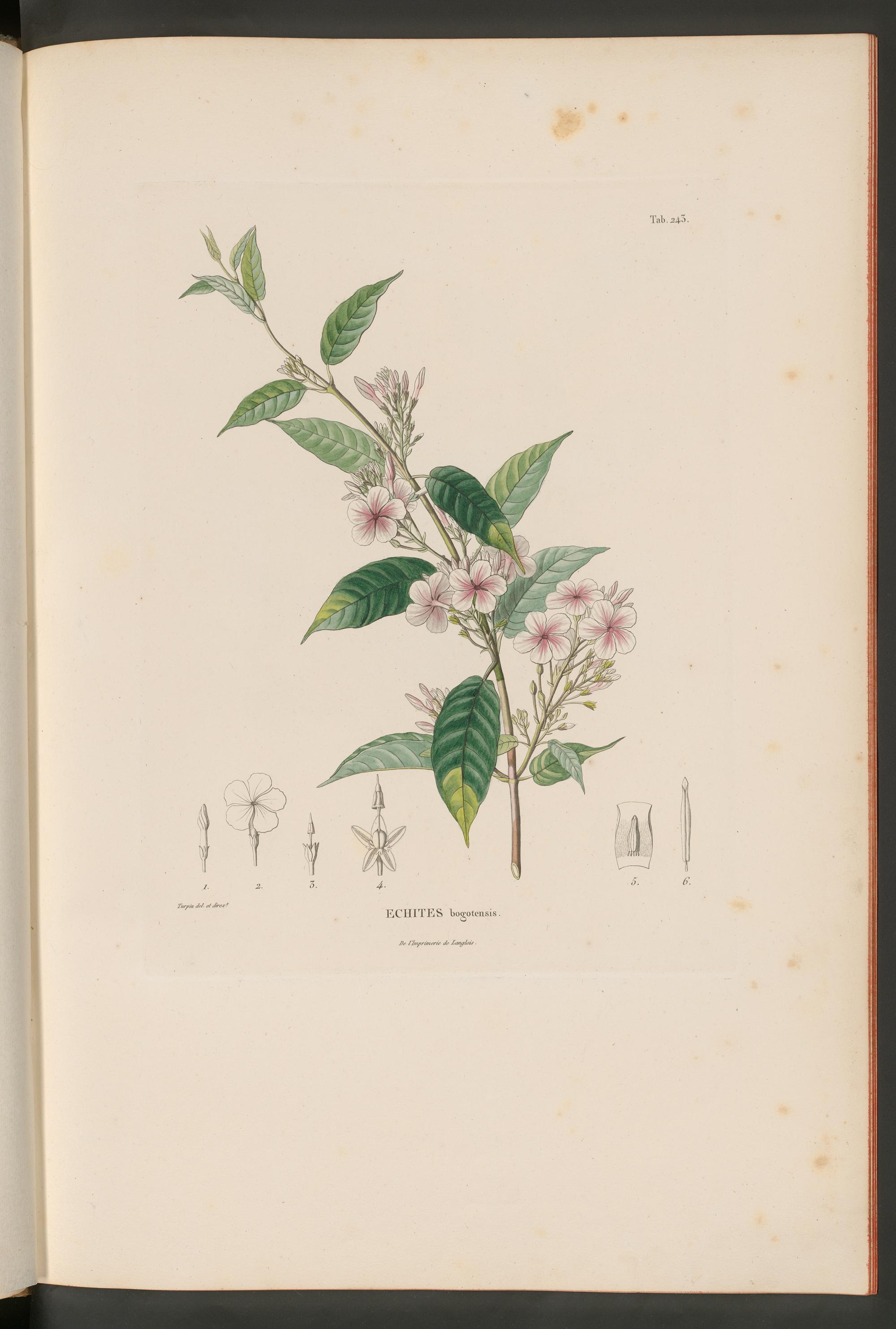 no full size  illustration available (3a)