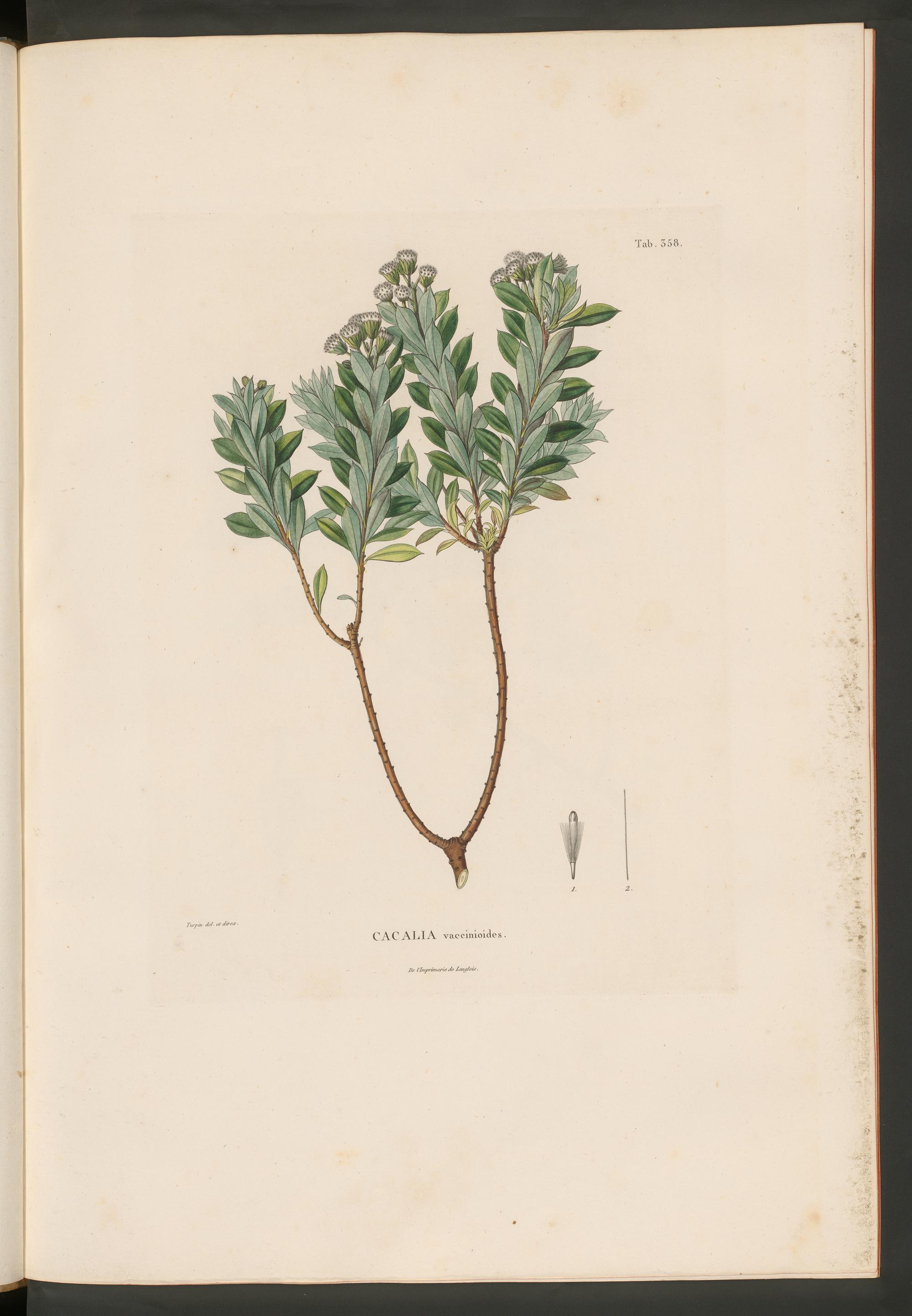 no full size  illustration available (3a)