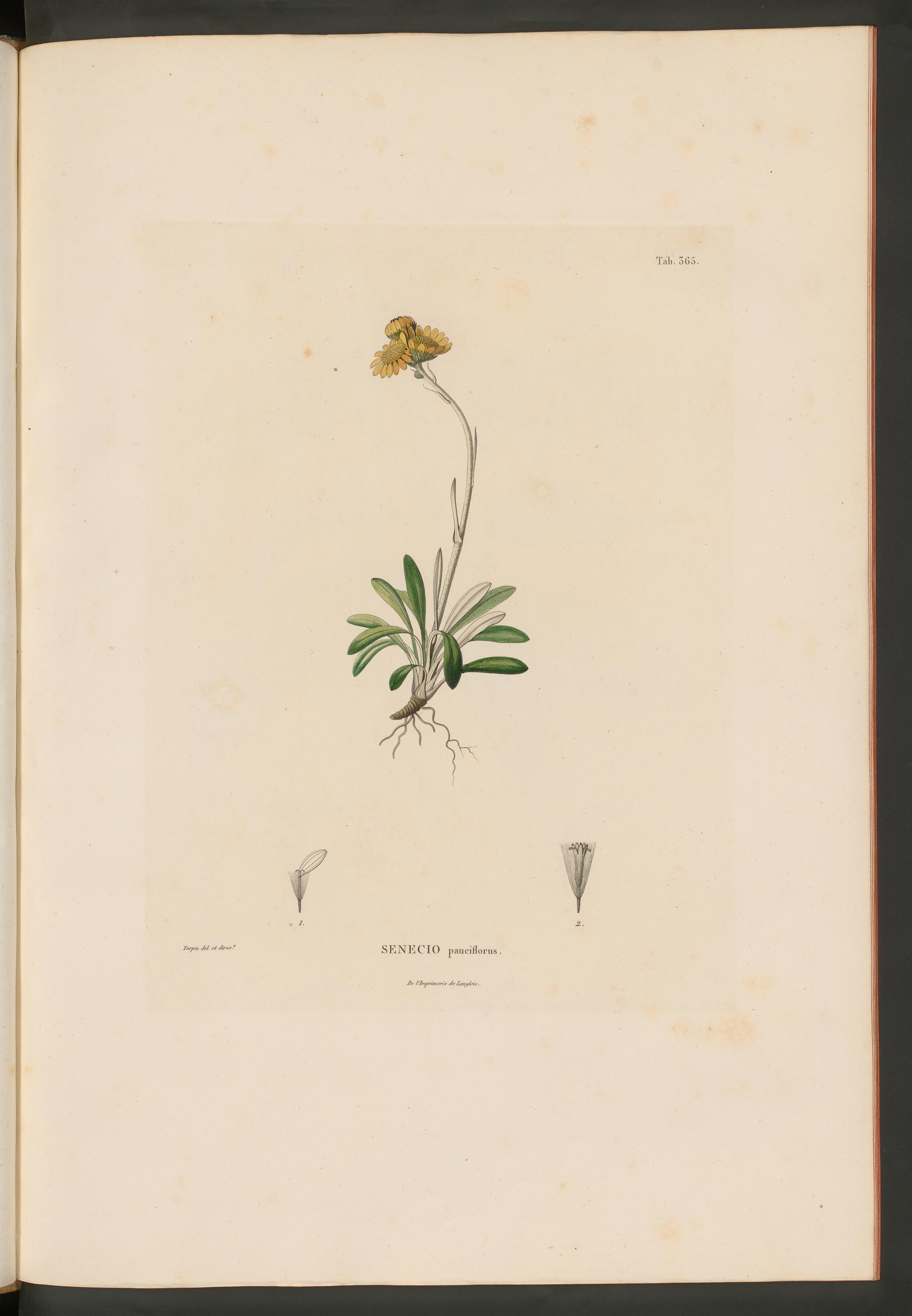 no full size  illustration available (3a)