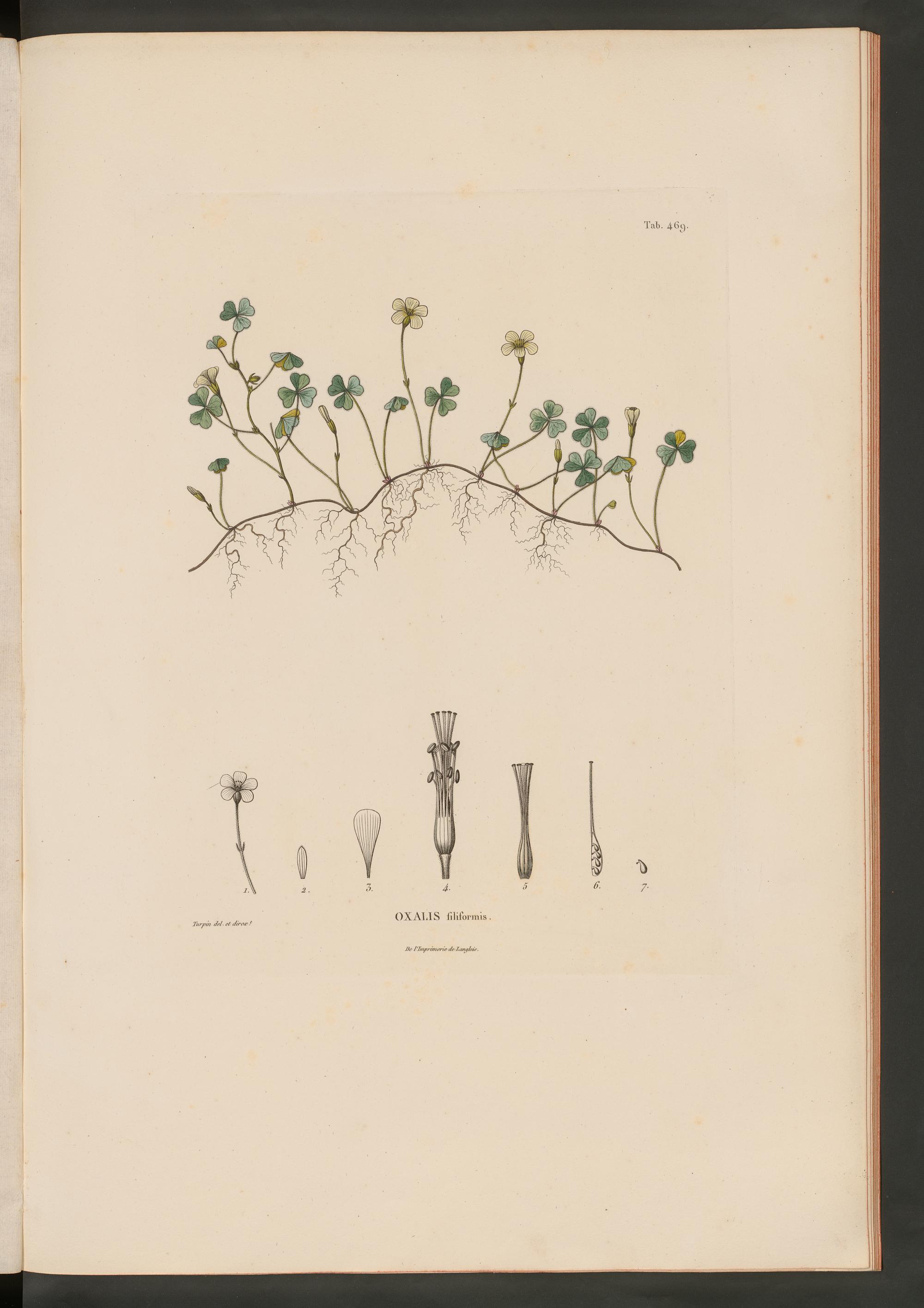 no full size  illustration available (3a)