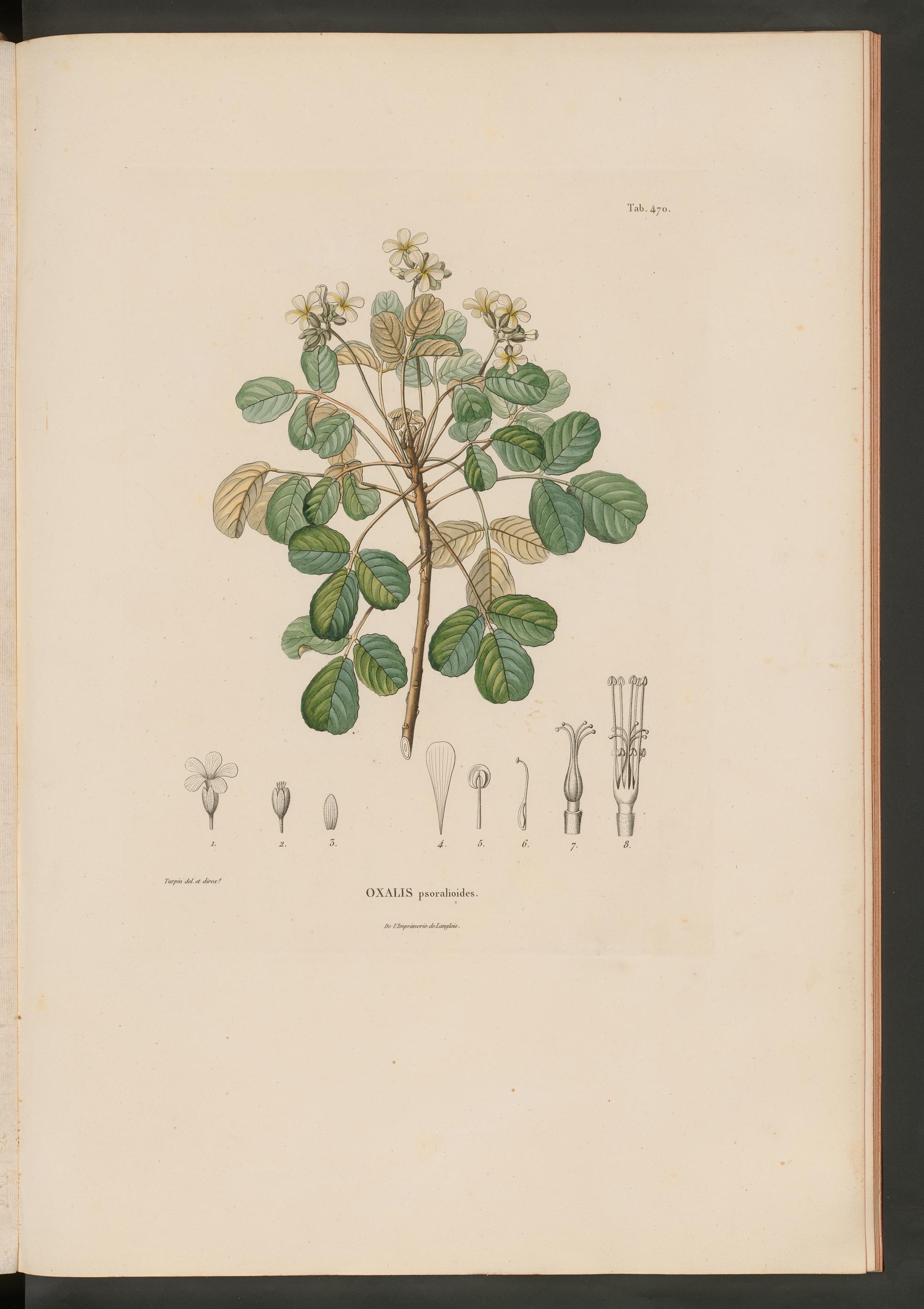 no full size  illustration available (3a)