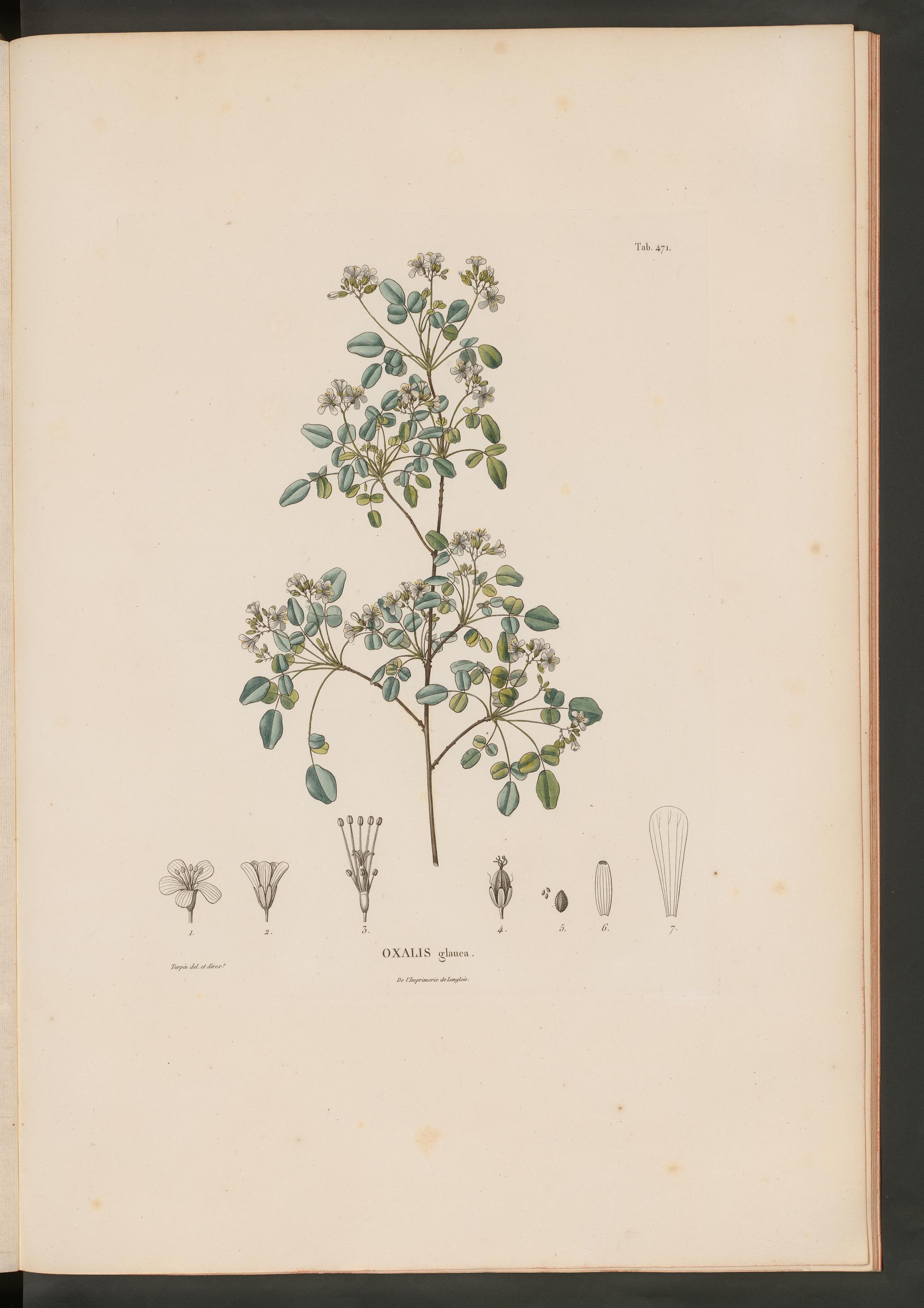 no full size  illustration available (3a)