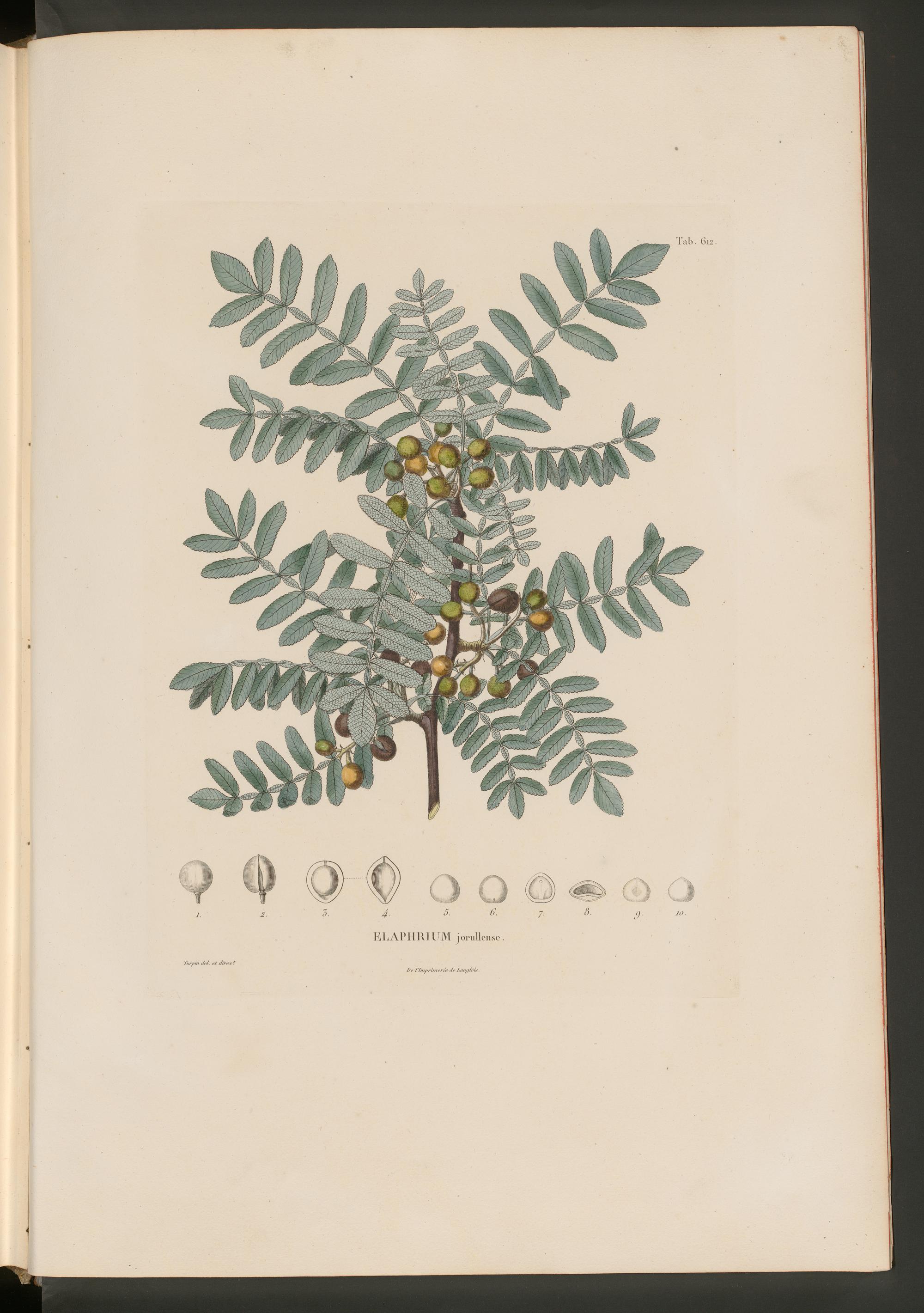 no full size  illustration available (3a)