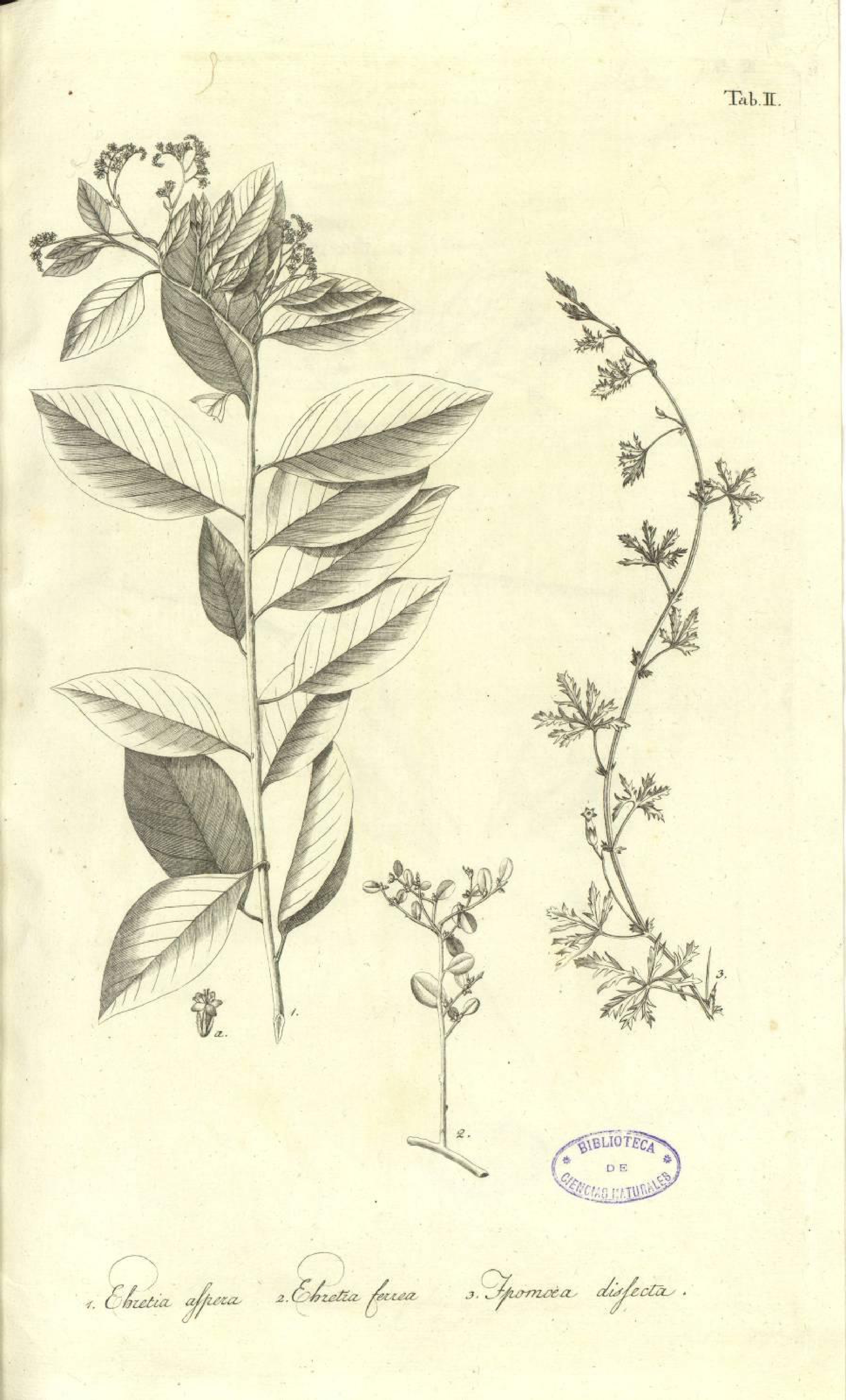 no full size  illustration available (3a)