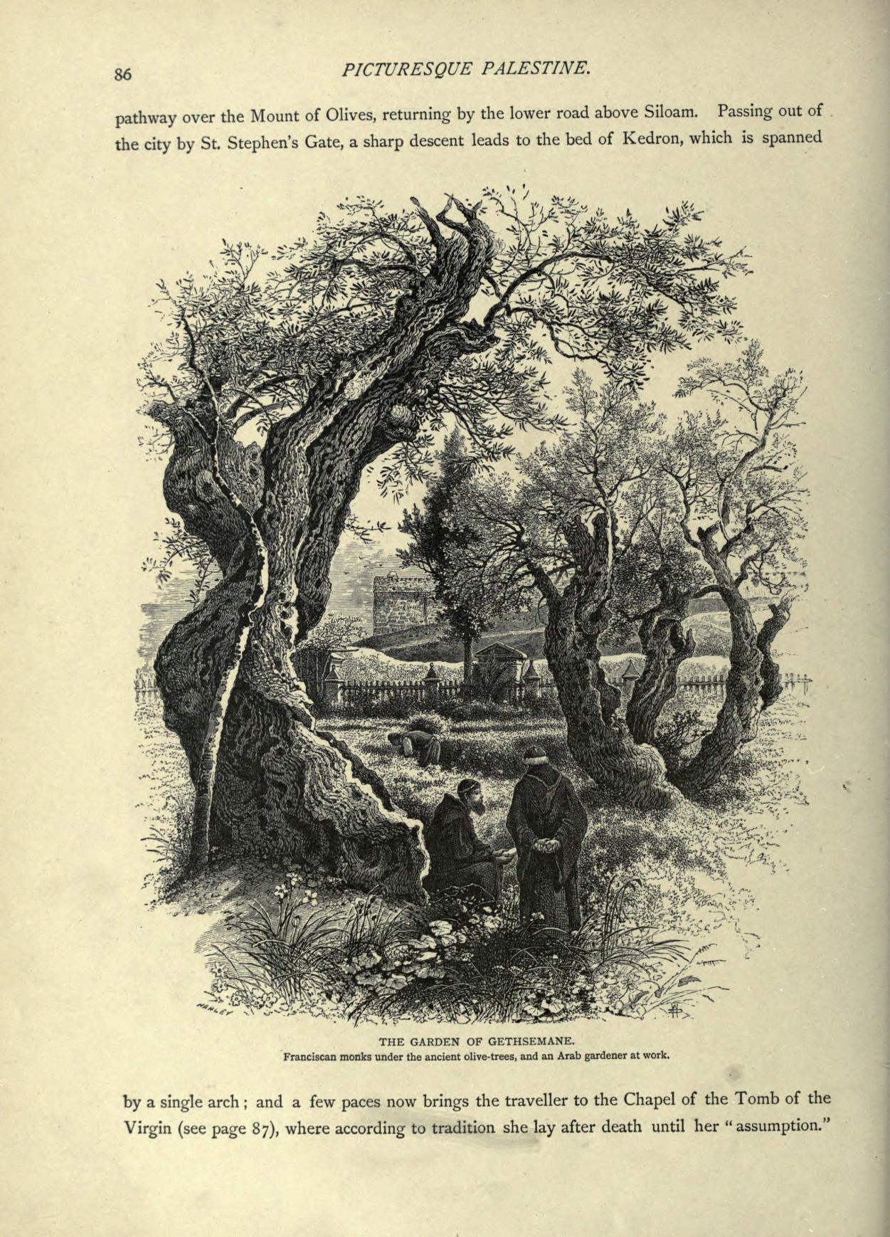 no full size  illustration available (3a)