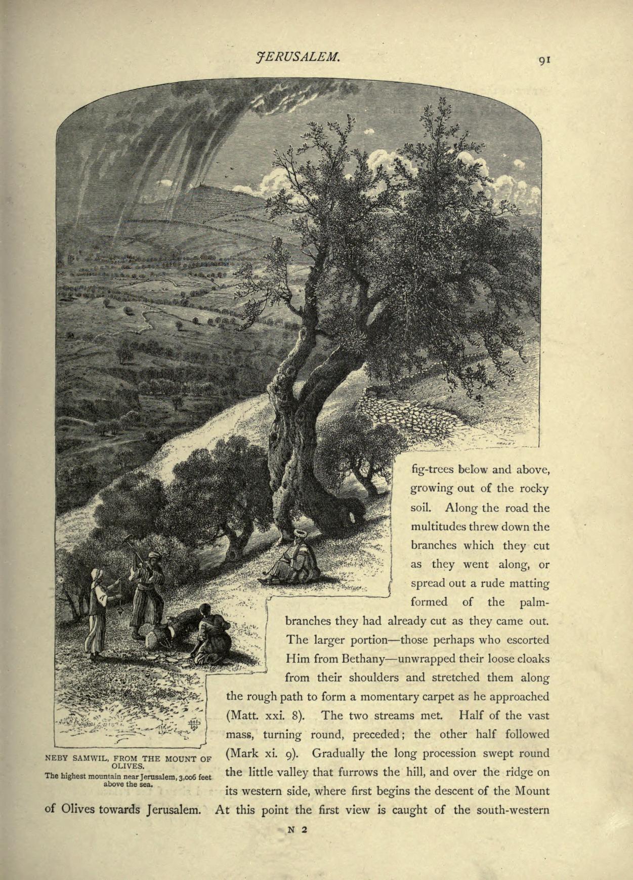 no full size  illustration available (3a)