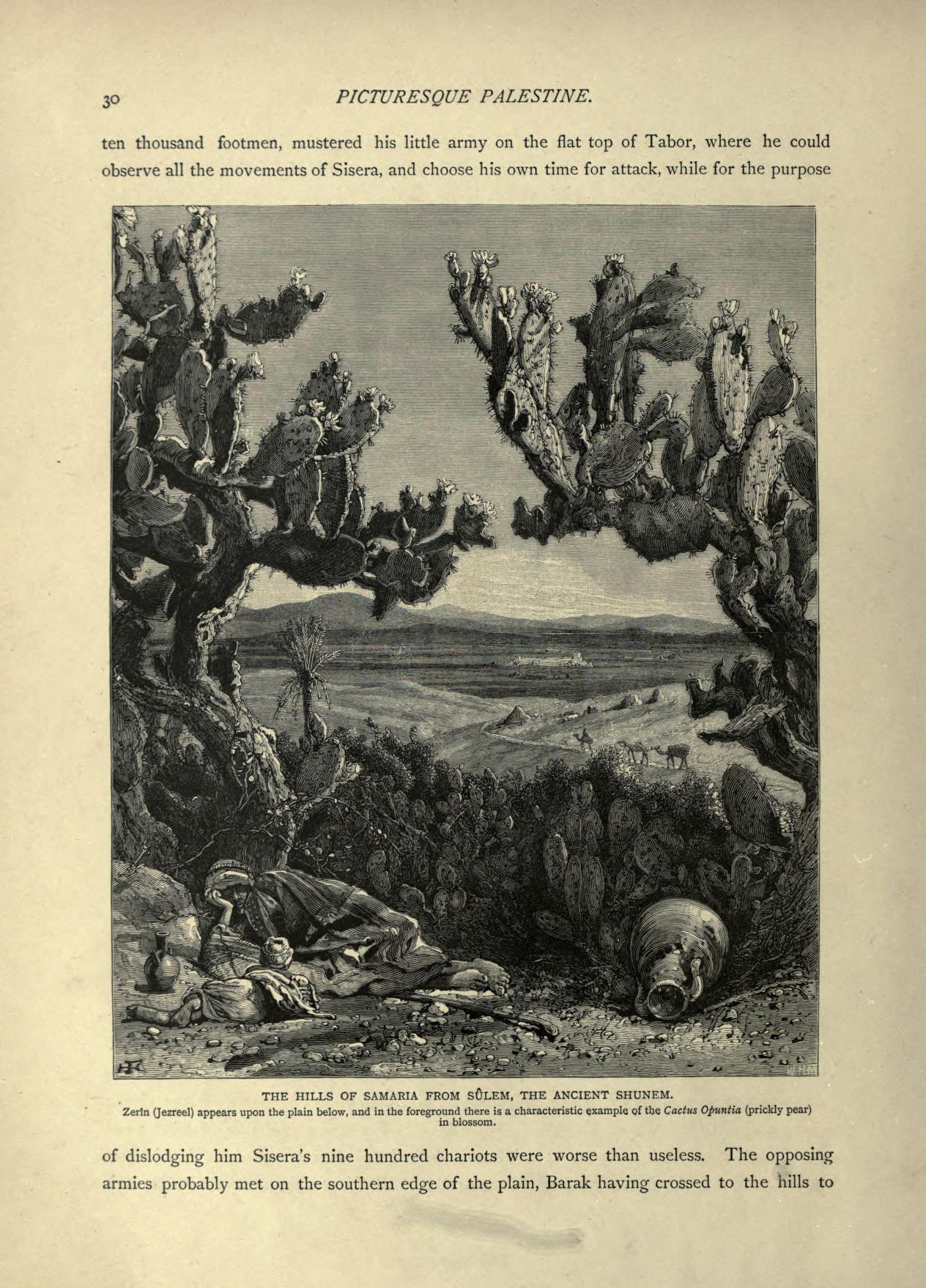 no full size  illustration available (3a)