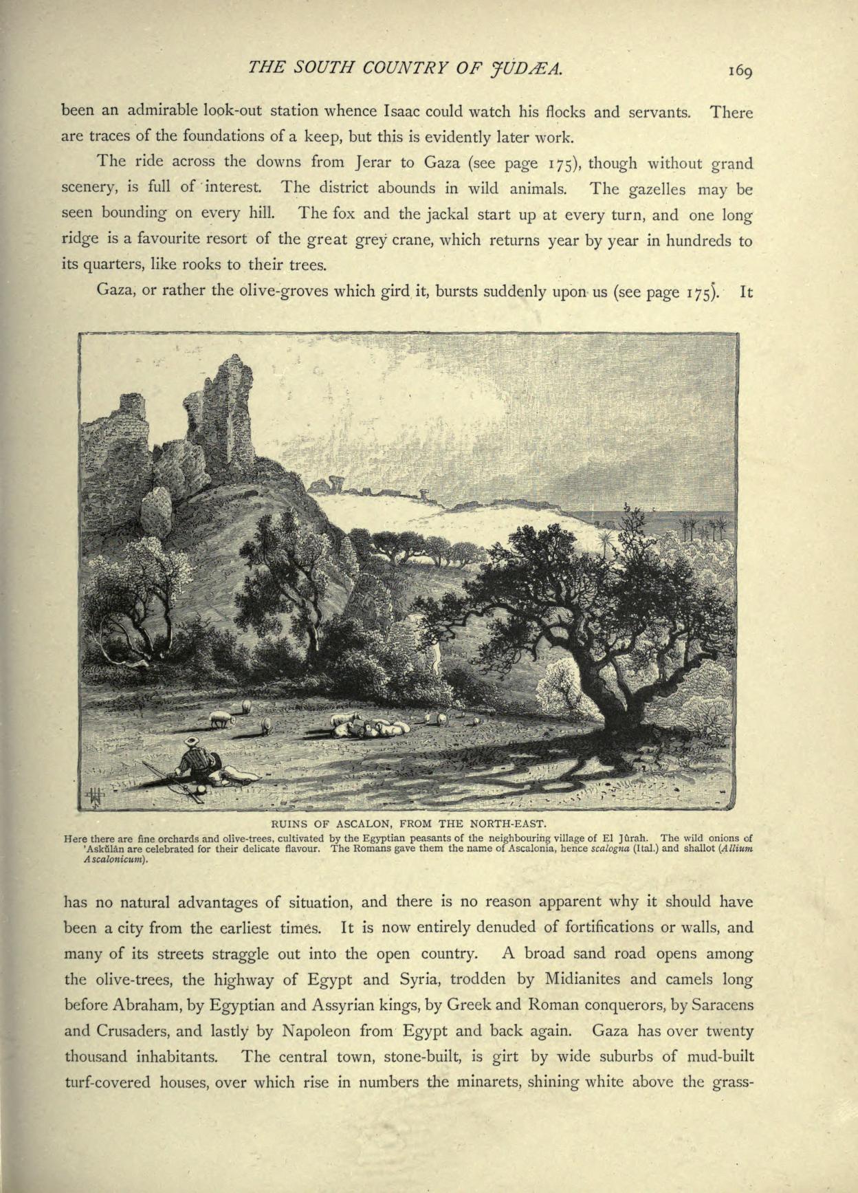 no full size  illustration available (3a)