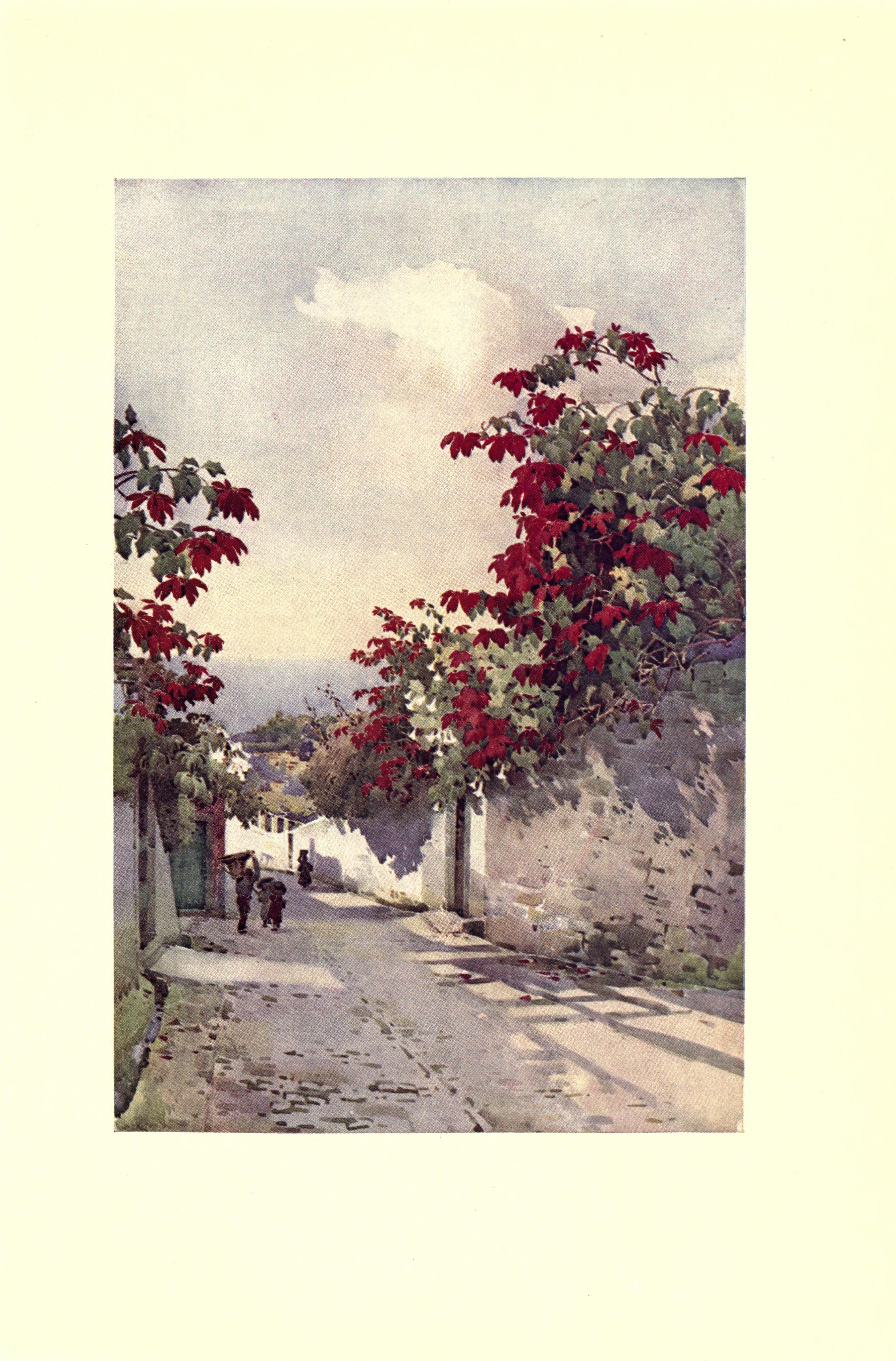 no full size  illustration available (3a)