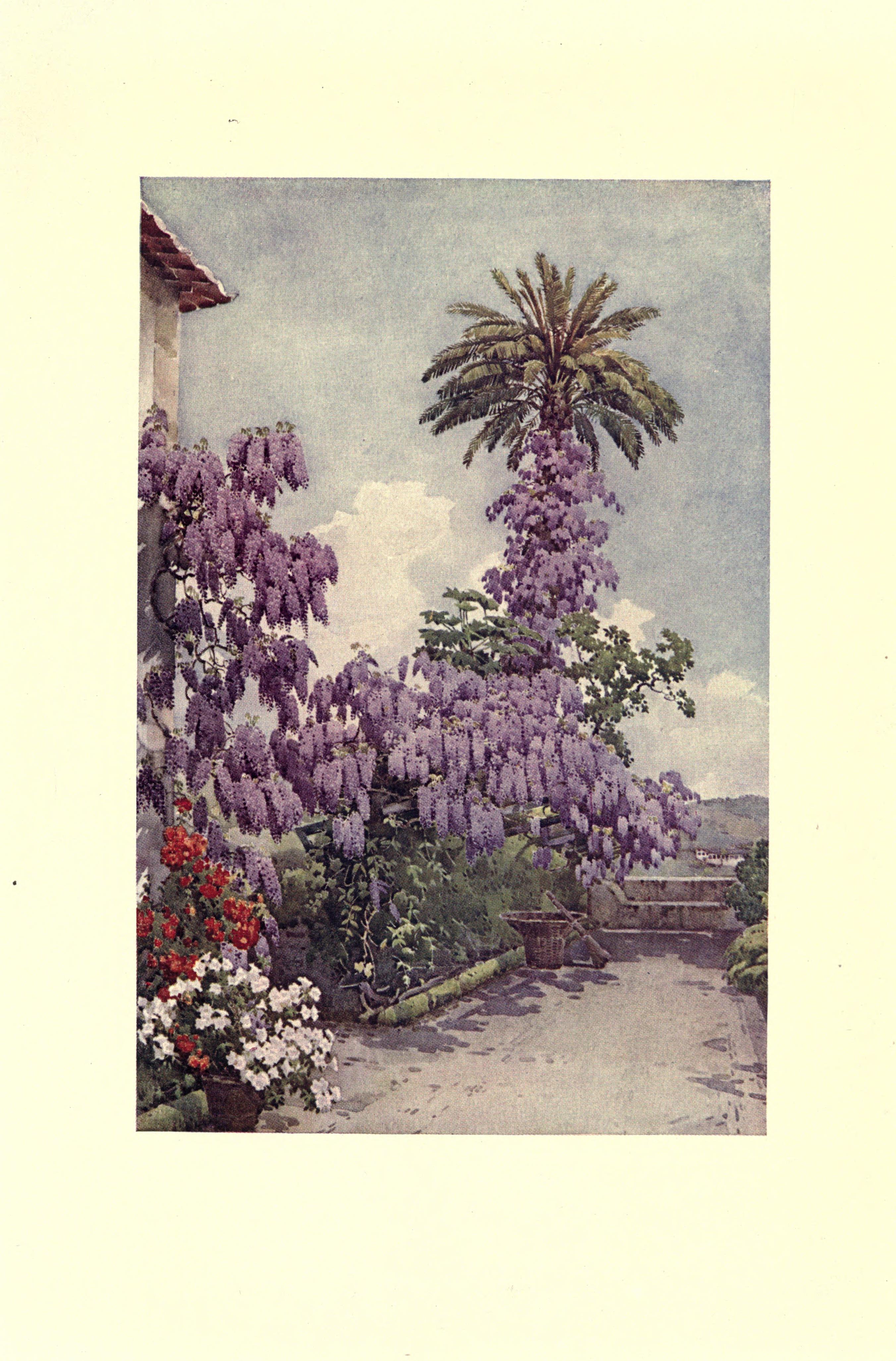 no full size  illustration available (3a)