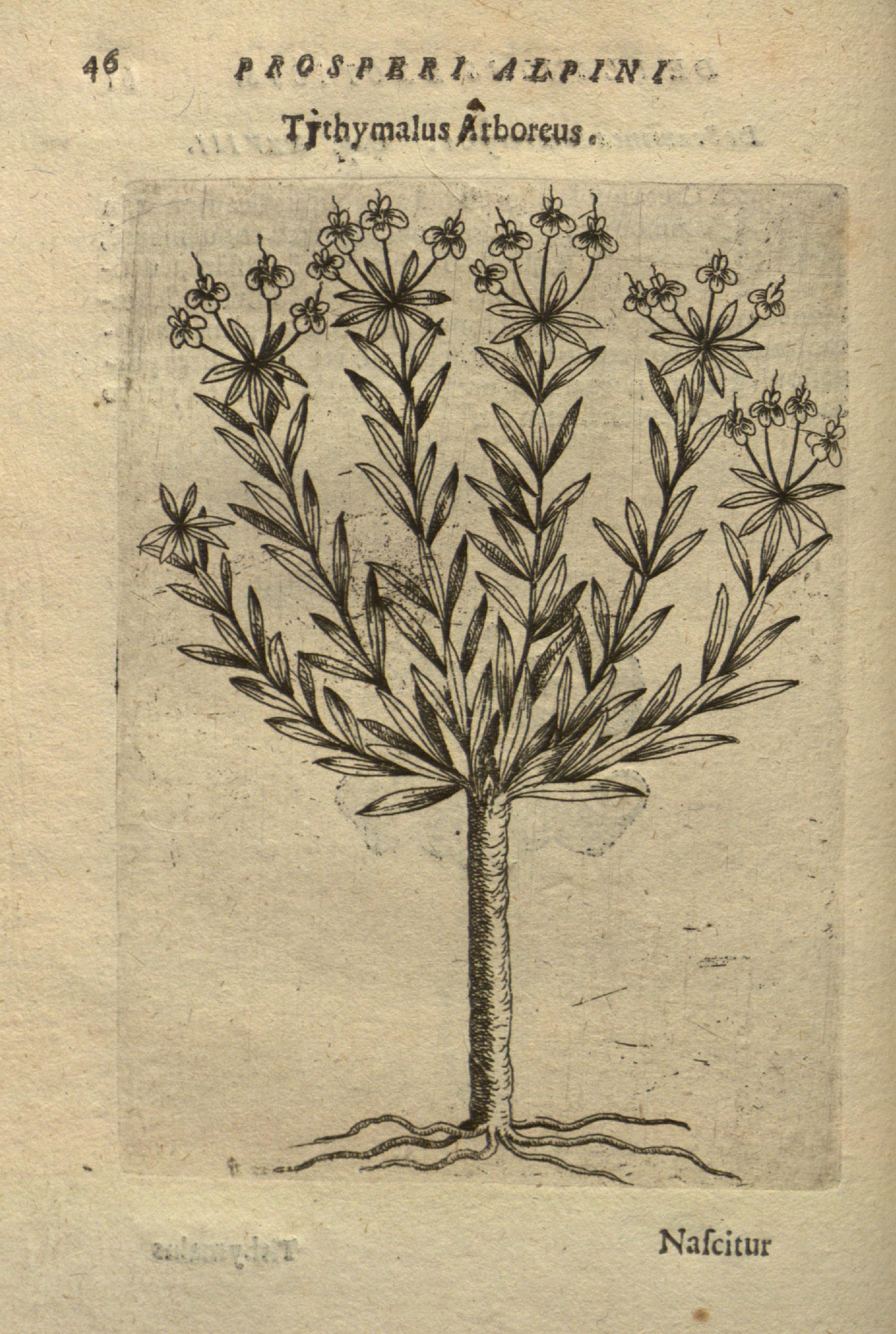 no full size  illustration available (3a)