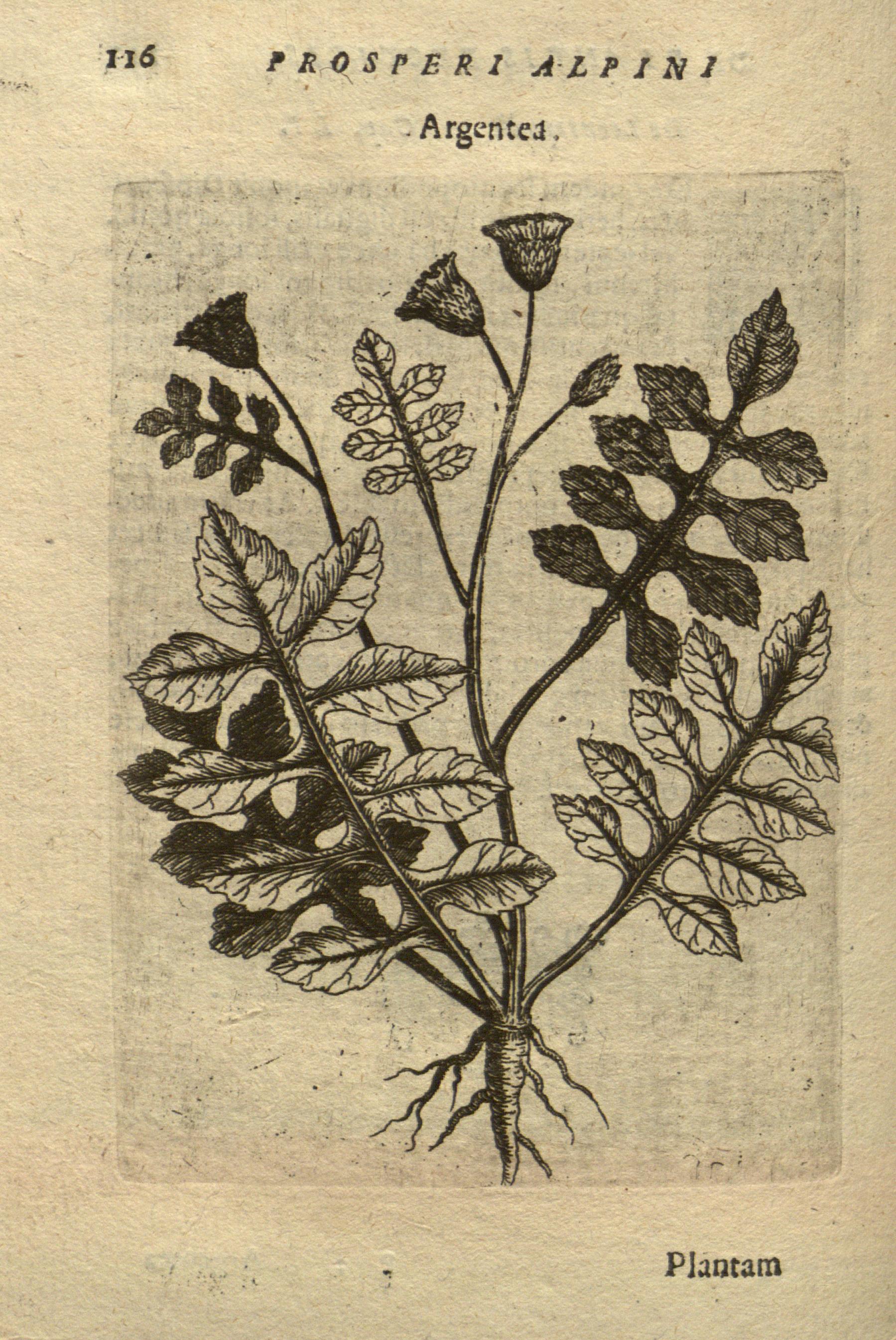 no full size  illustration available (3a)