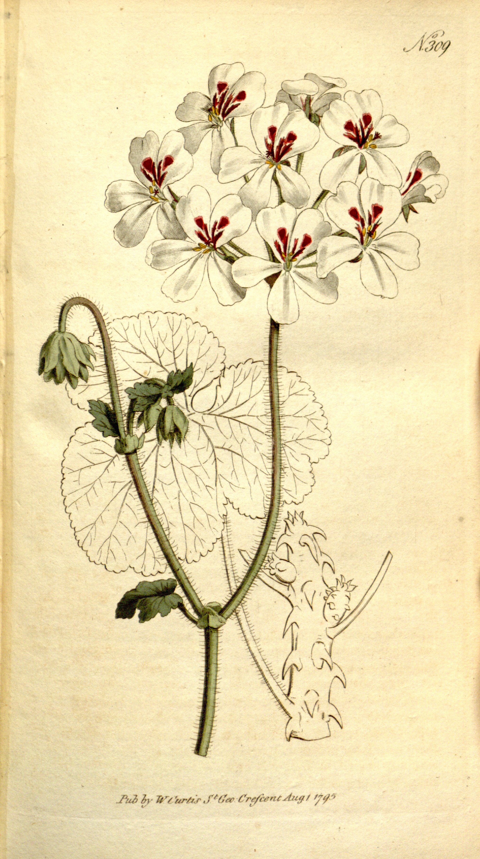 no full size  illustration available (3a)