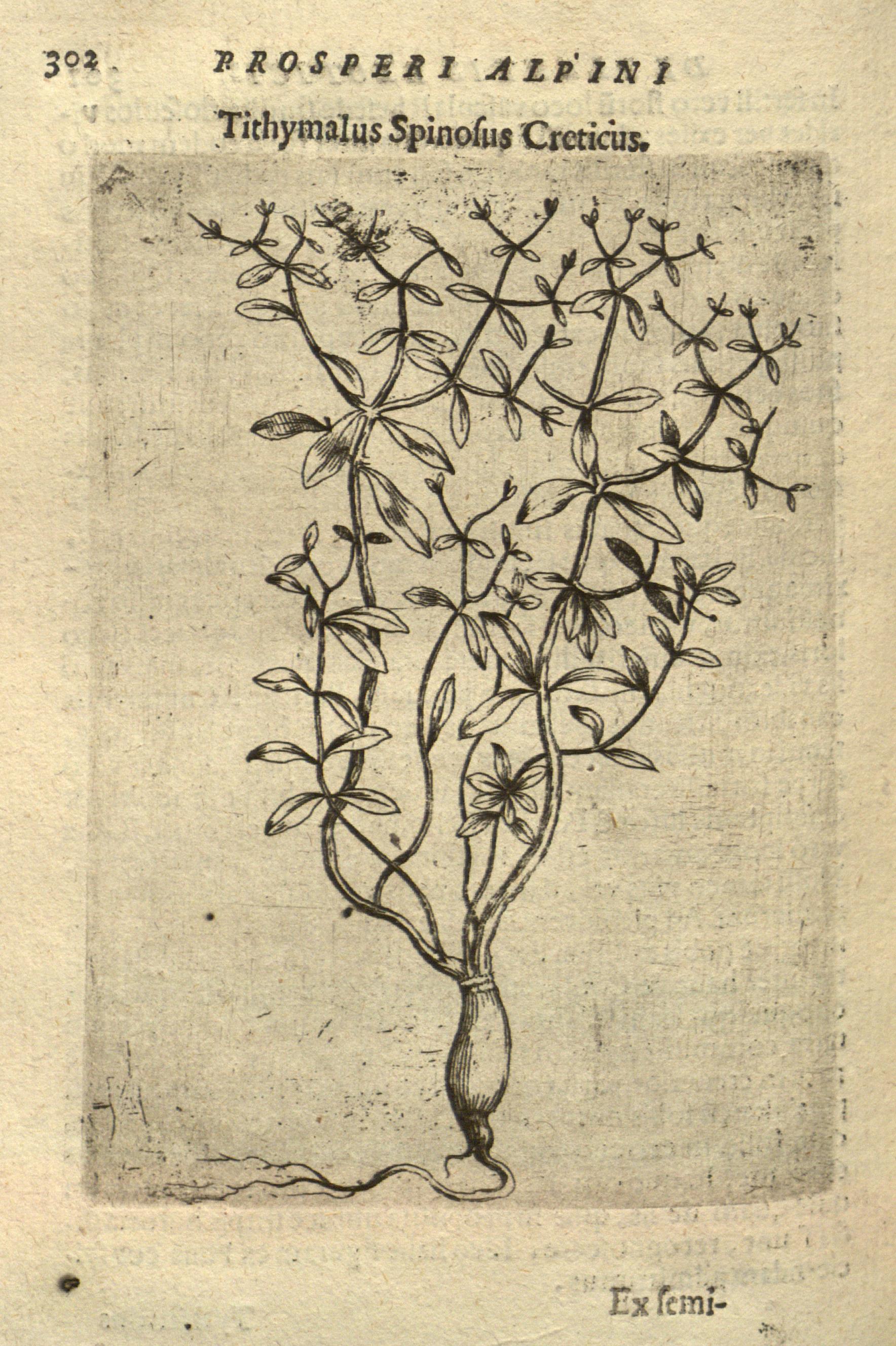 no full size  illustration available (3a)