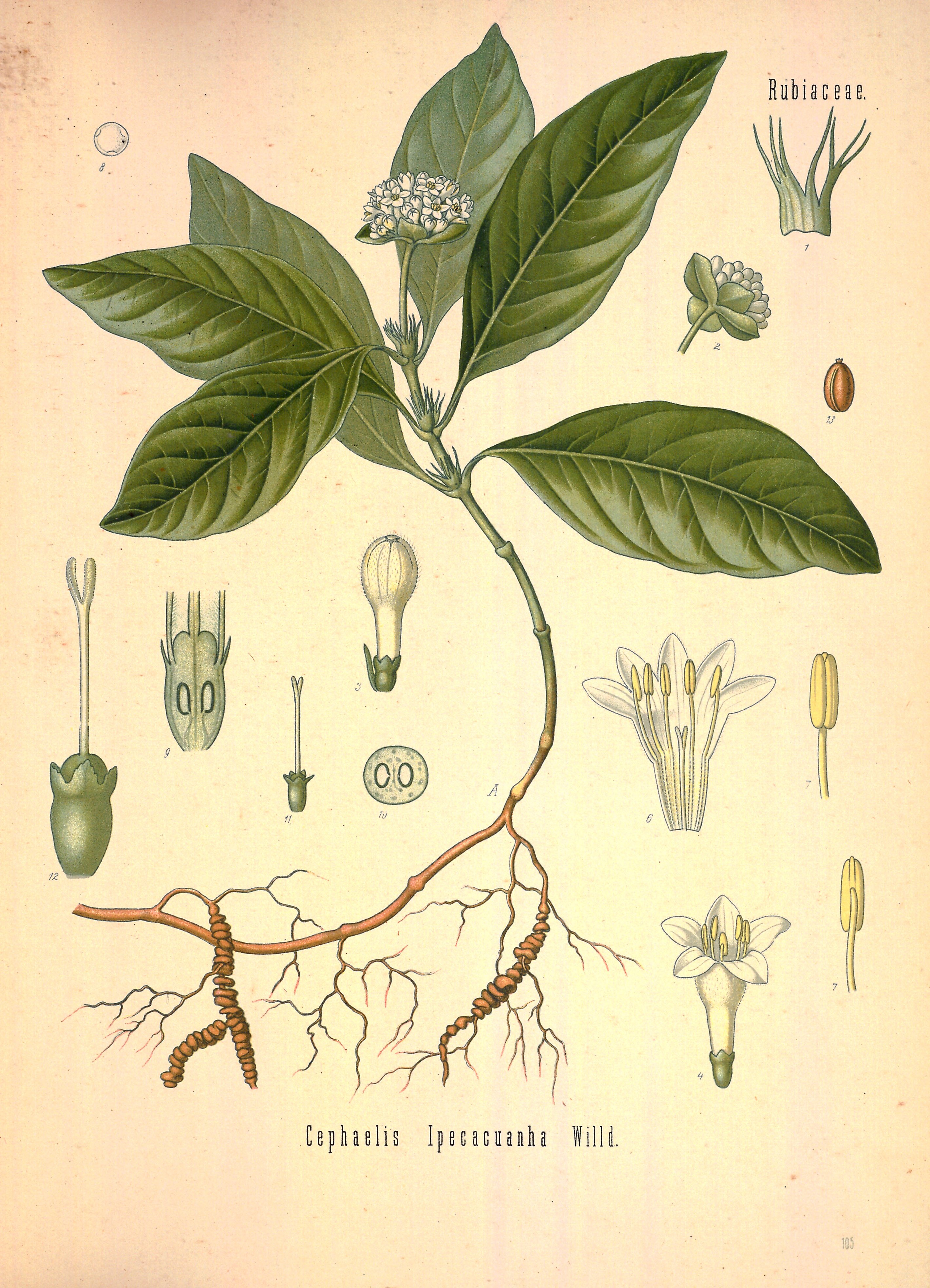 no full size  illustration available (3a)