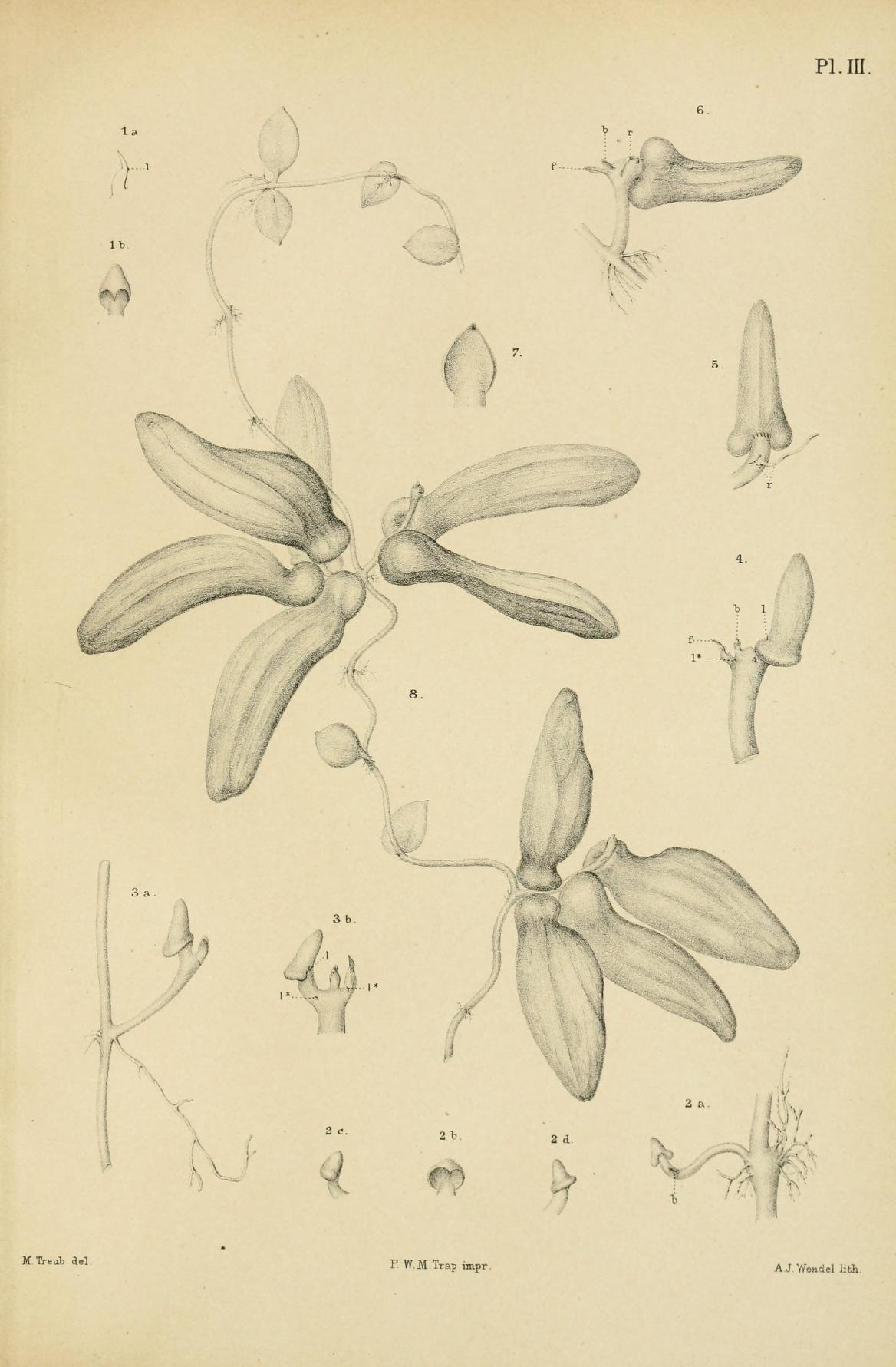 no full size  illustration available (3a)