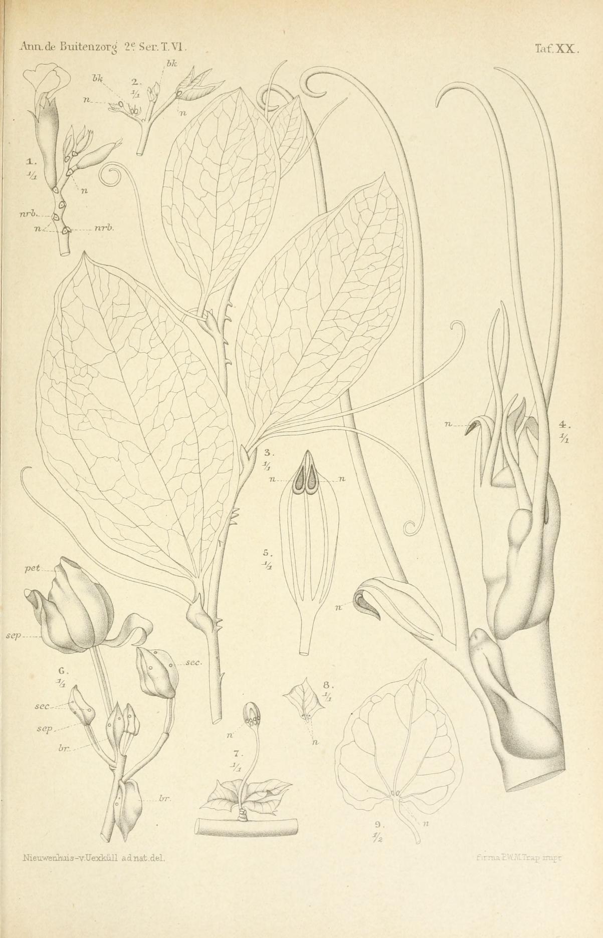 no full size  illustration available (3a)